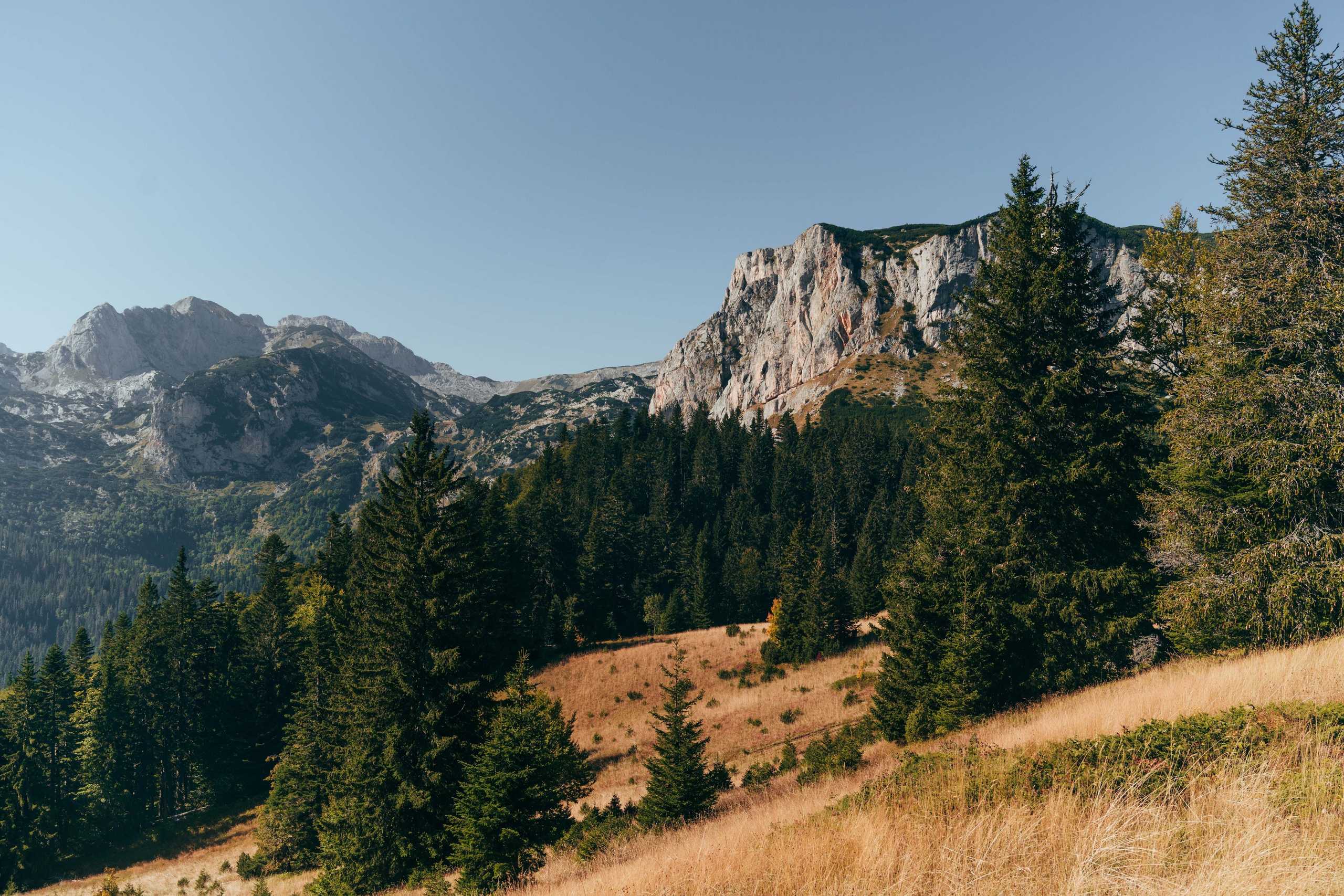ЦРВЕНА ГРЕДА. ЧЕРНОГОРИЯ. Фотограф в Белграде Чугреева Елена