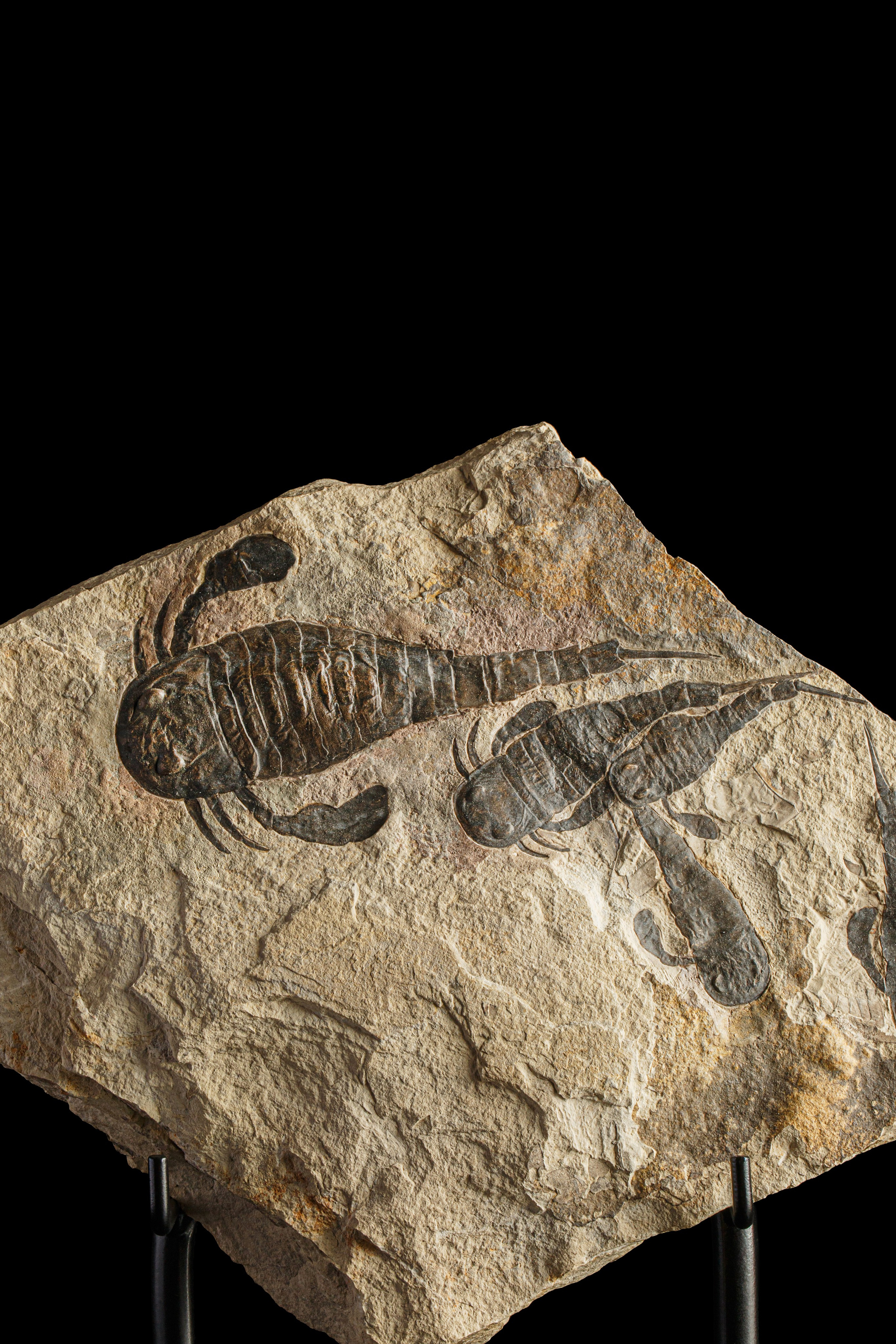 Профессиональная обработка натуральных камней, минералов и ископаемых | Студия SVITHART