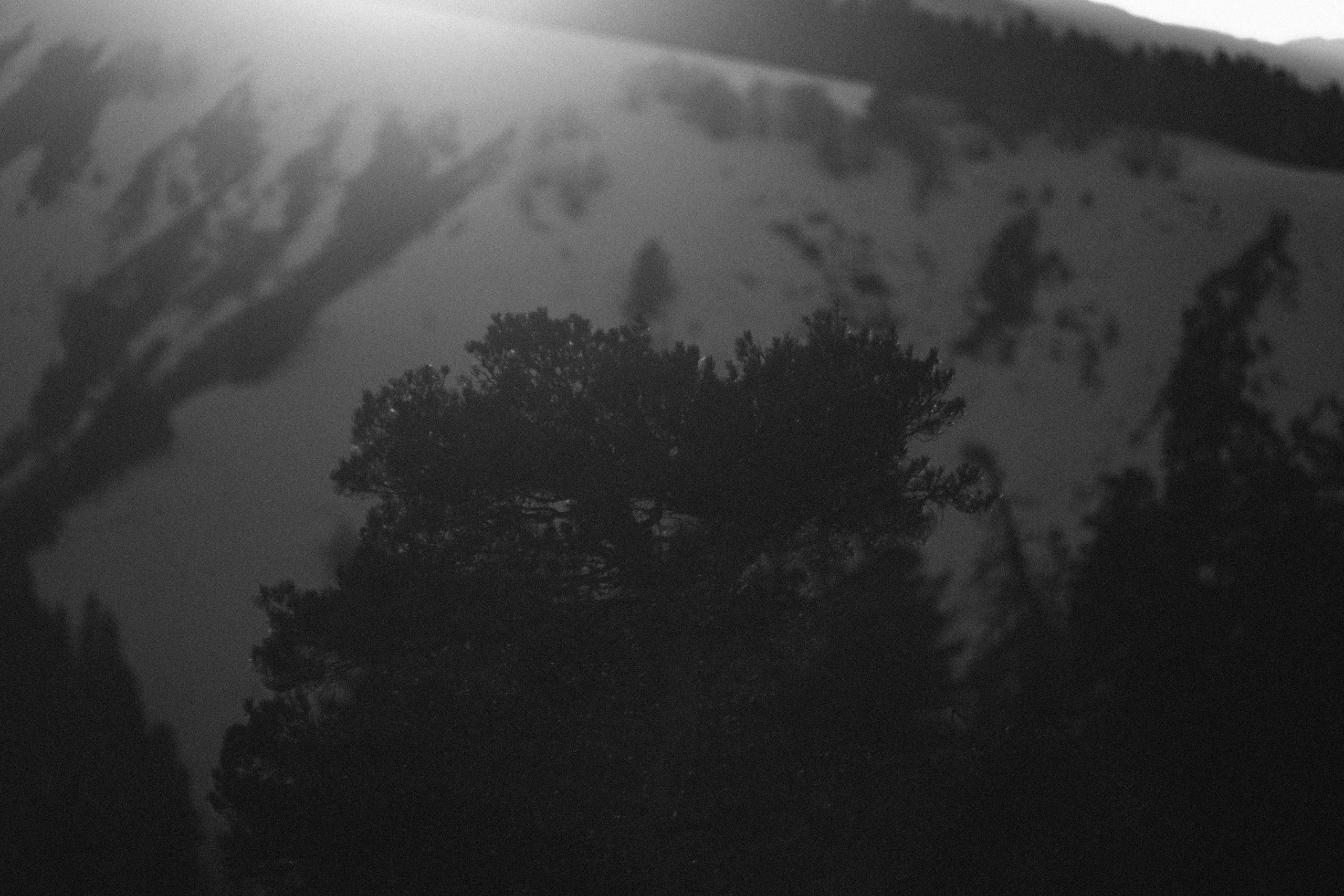 Горы. Спортивный фотограф в Ростове-на-Дону Сергей Реусин