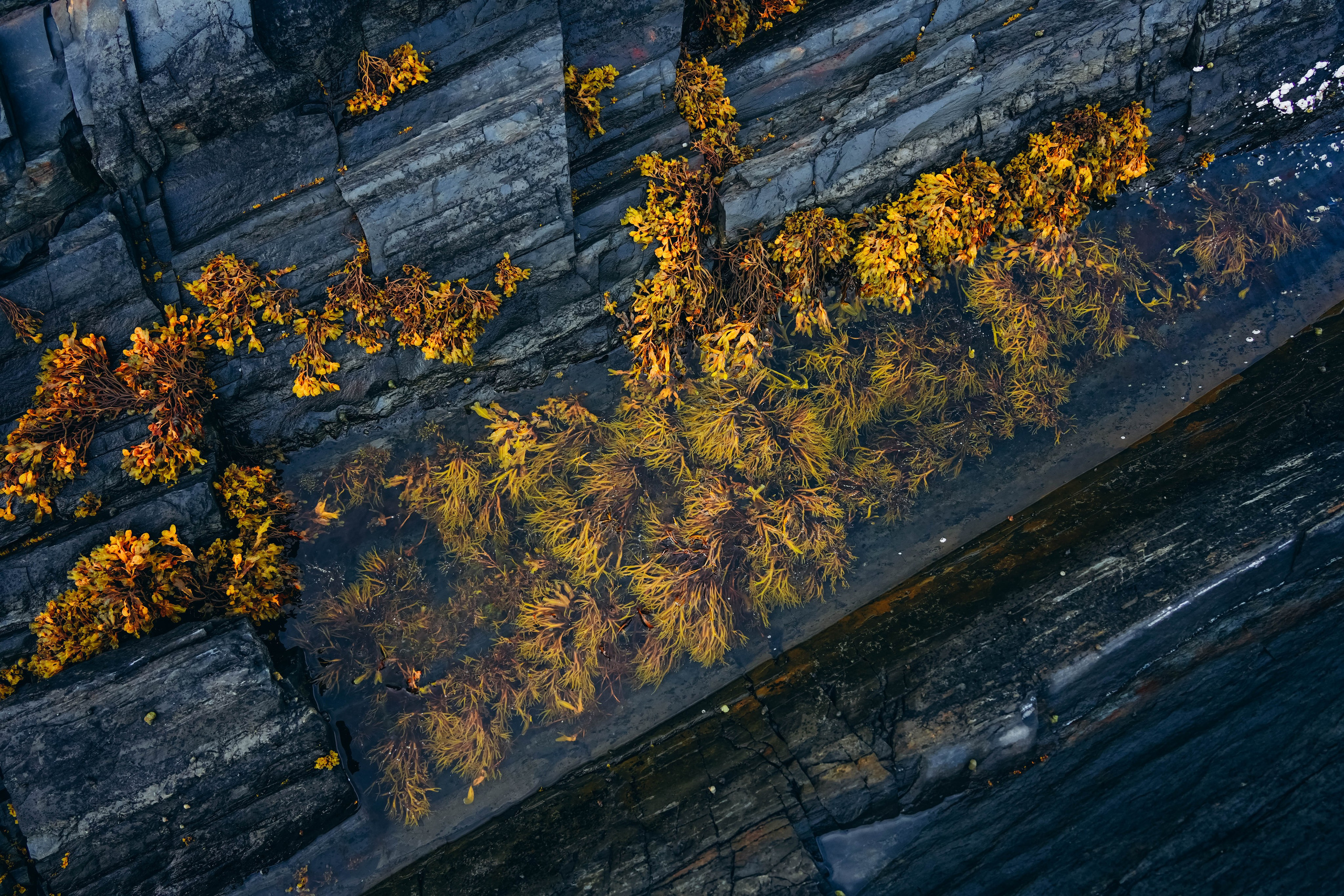 СЕВЕР. Event фотограф Степанова Александра