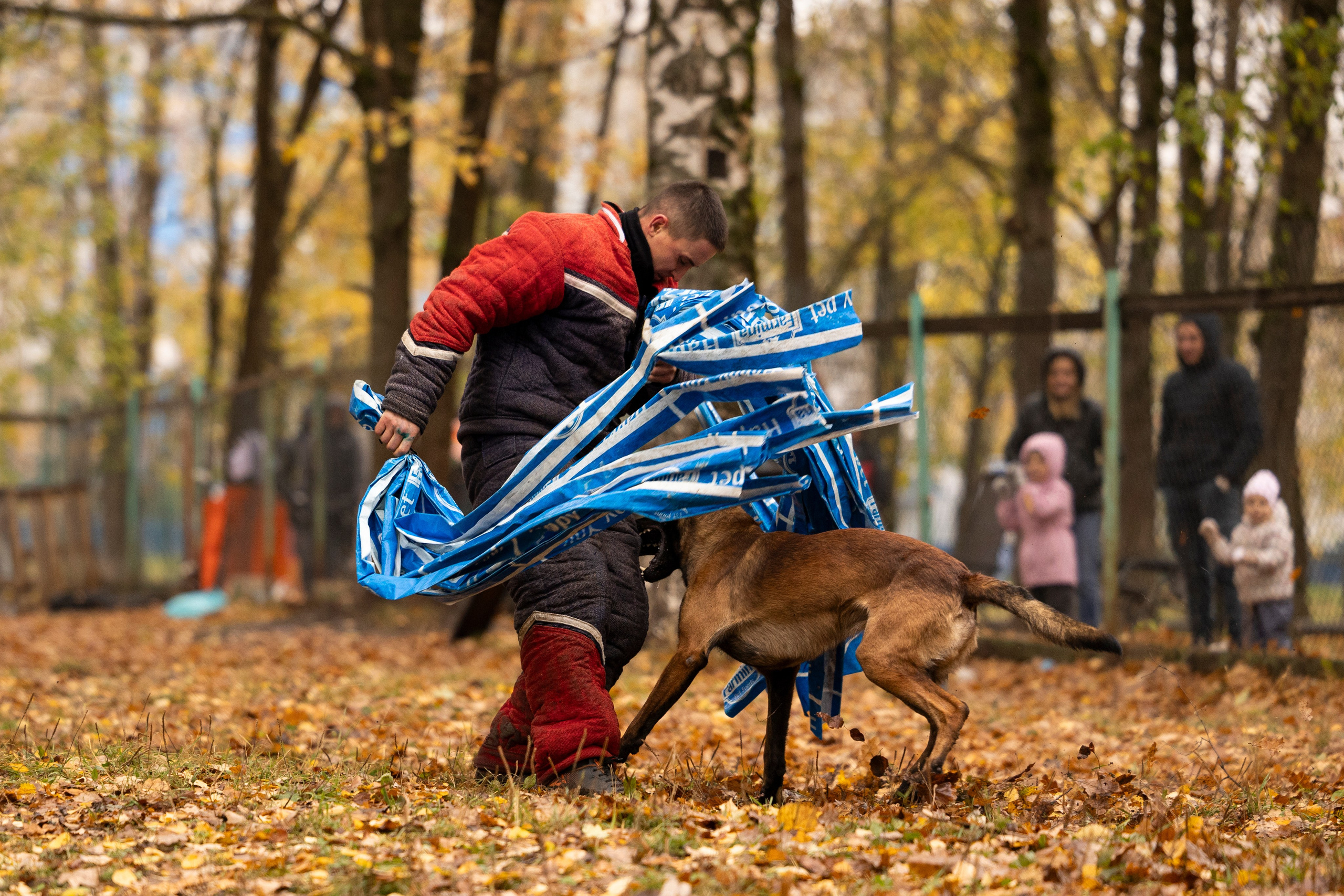 Соревнования по Мондьорингу г. Вологда. Фотограф-анималист Анна Маринич