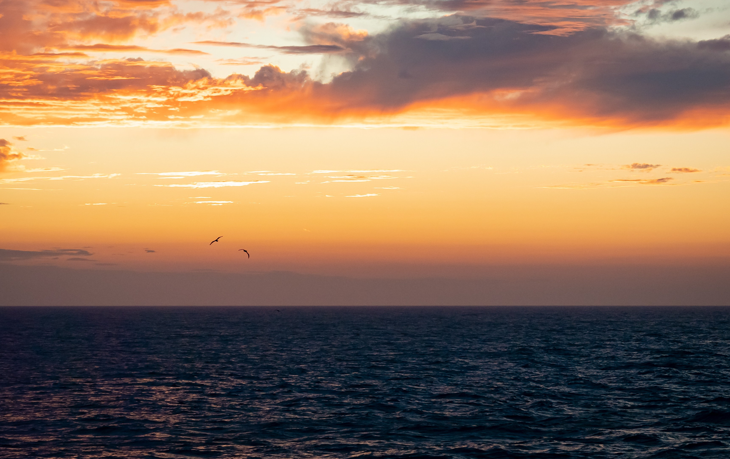 Итуруп. Семейный фотограф Варвара Сорока в городе Москве