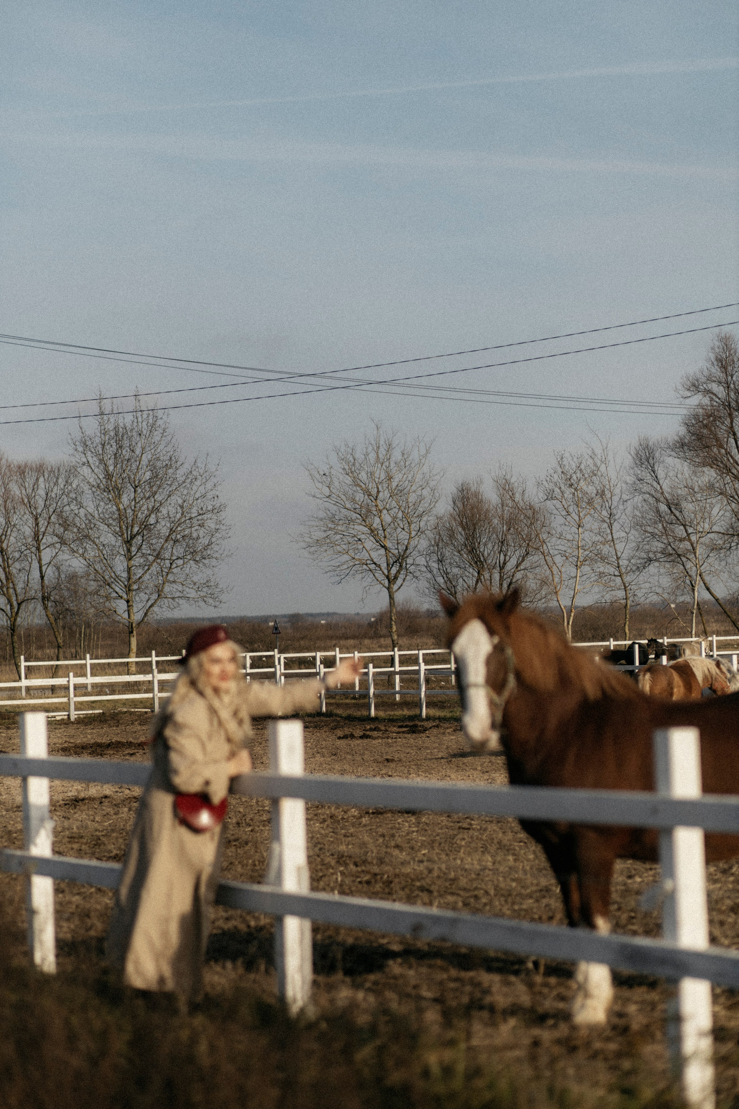 Прогулка с Еленой. Семейный и детский фотограф в Рязани Васюгова Мария