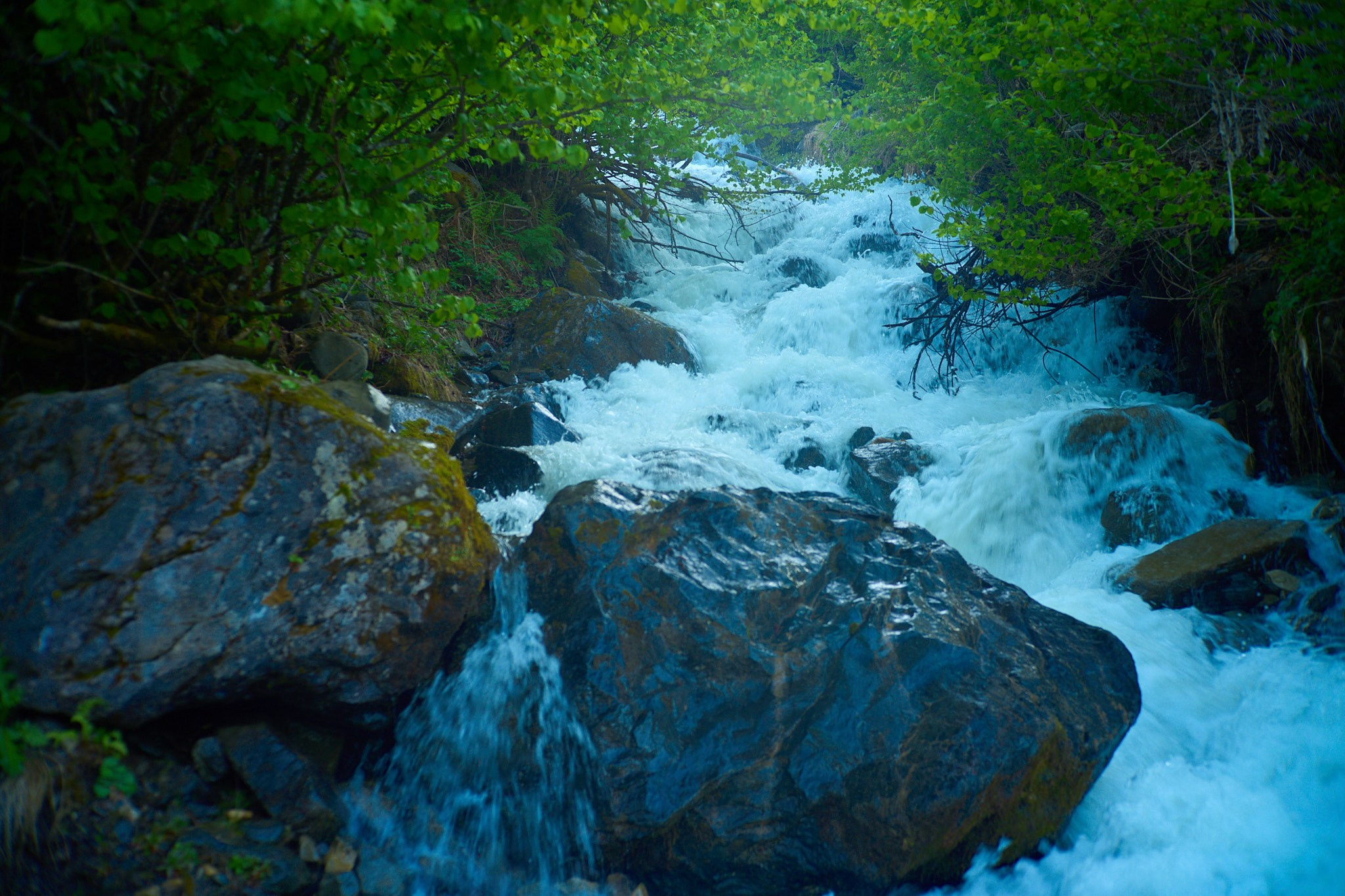 Красная Поляна, апрель 2024. Фотограф, Римма Невинская