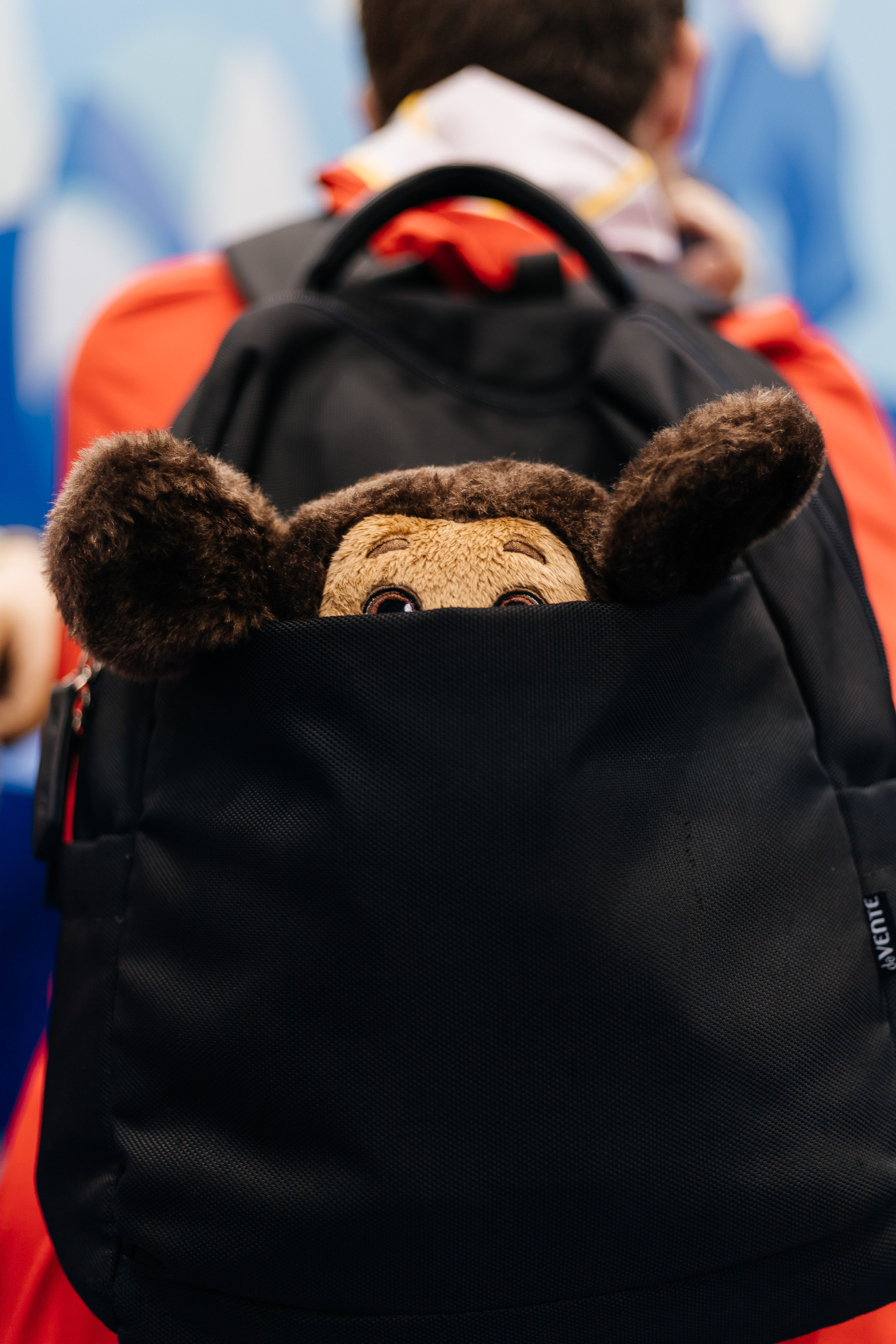 Всемирный Фестиваль молодежи. Репортажный фотограф. Репортажный фотограф в городе Ростов-на-Дону Даниил Молодовский