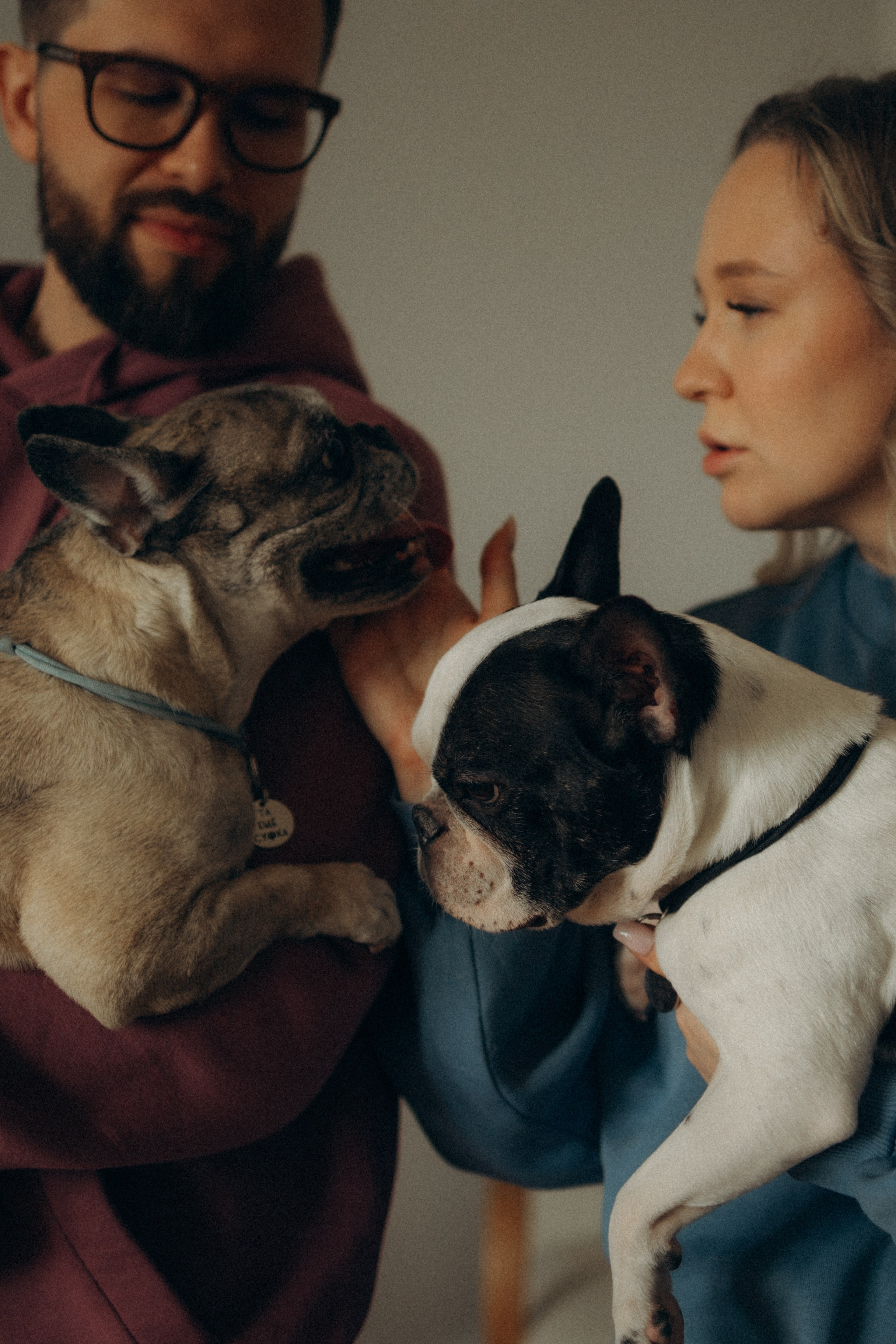 Зефирка, Булка и их Ро. Фотораф — анималист Мария Шистка