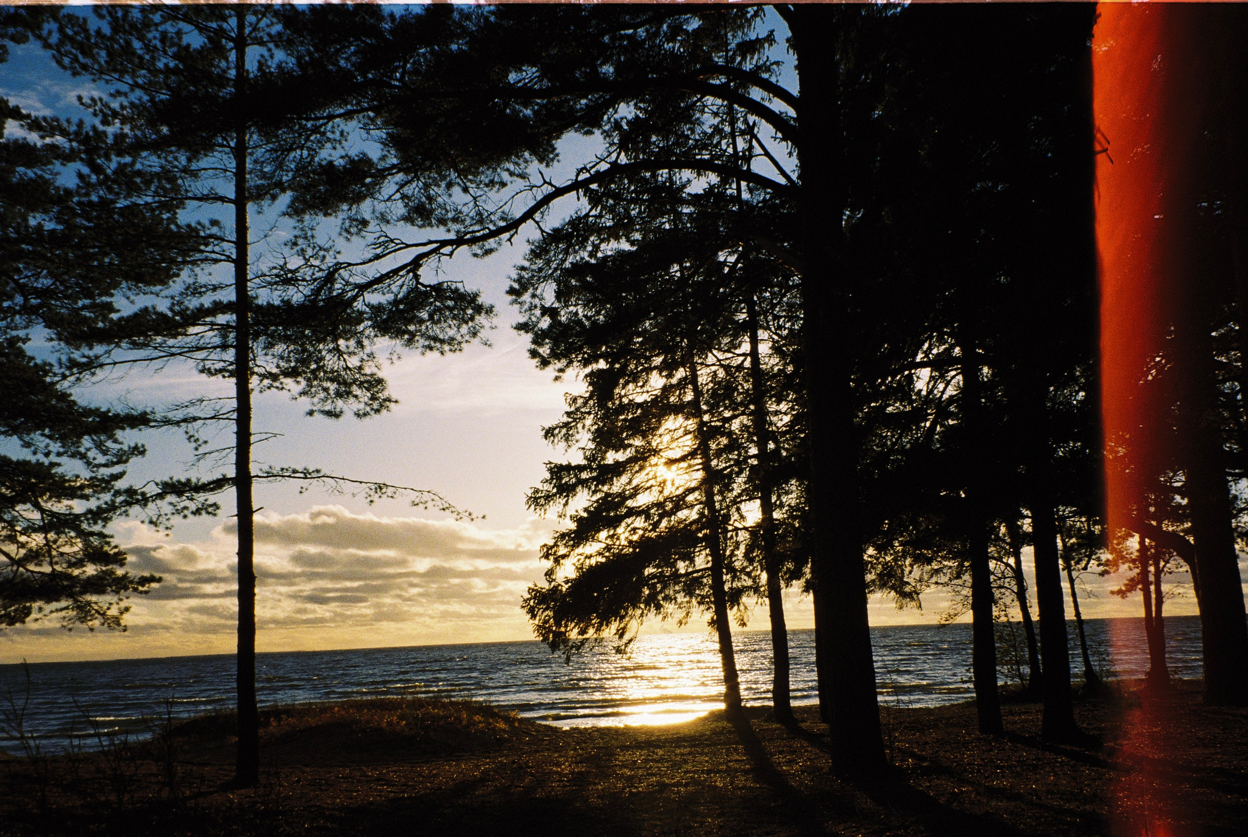 Всякие картинки