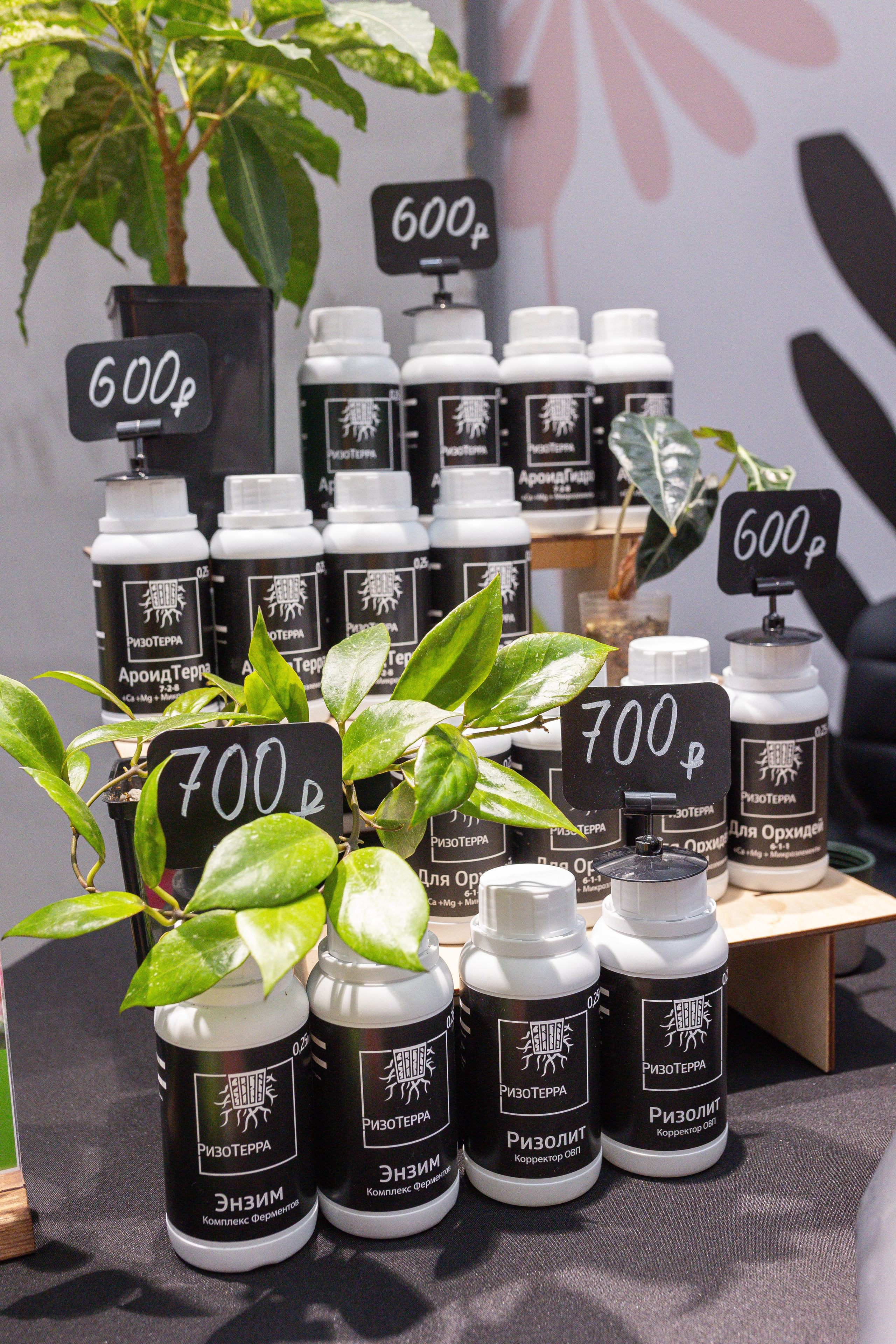 Ярмарка Green Rare 20.09.25. Александра Куликова фотограф, Москва