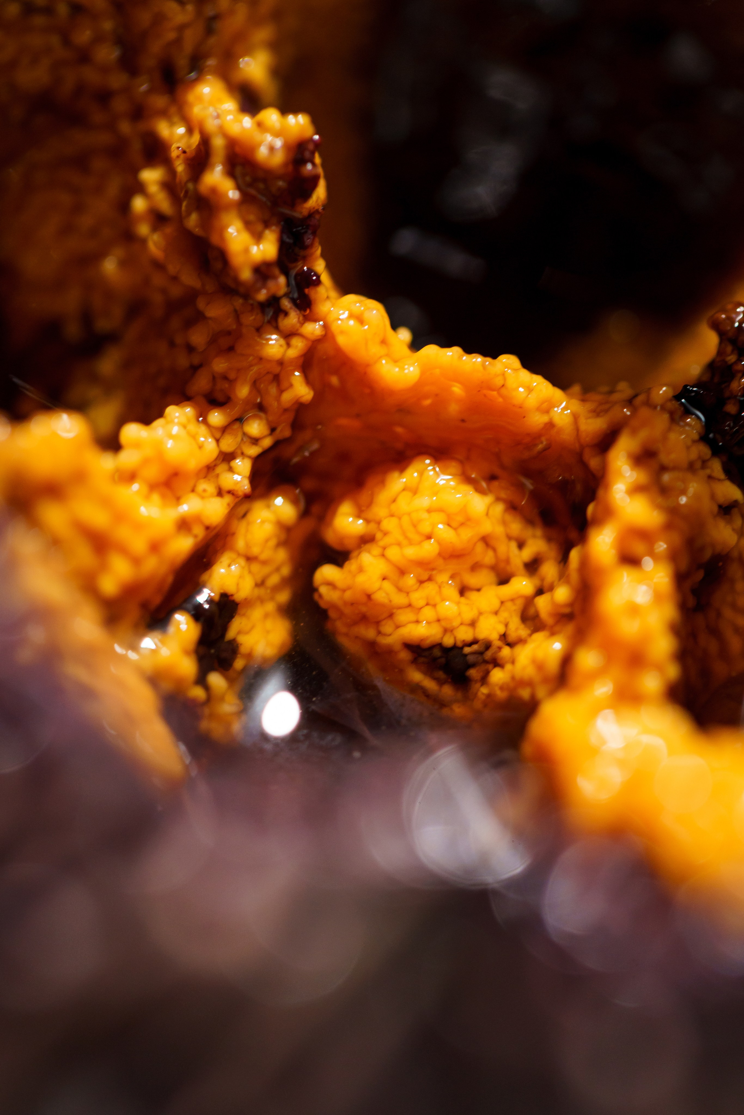 Ресторан «Murmansk». Контент фотограф в Москве Александр Хитько