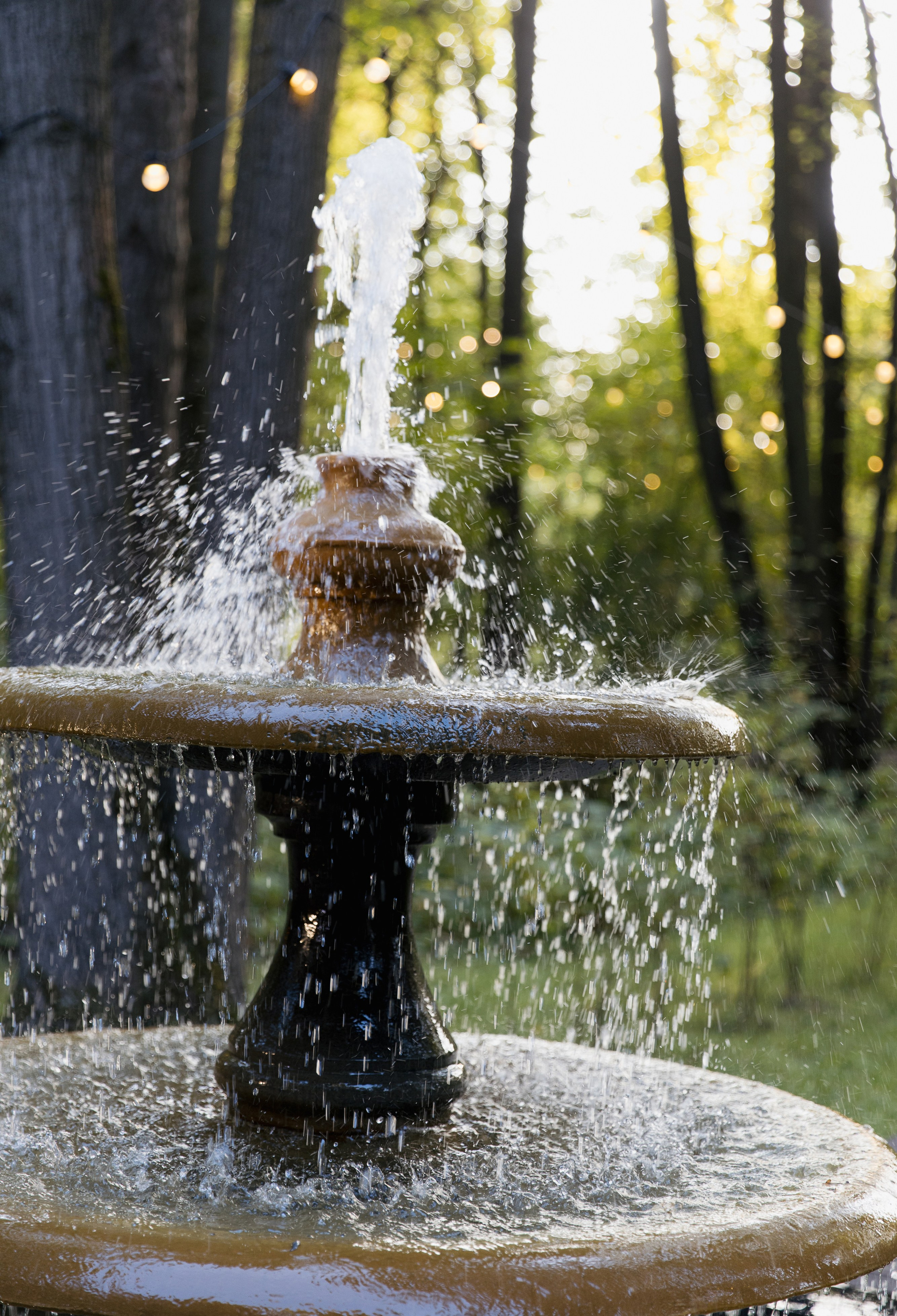 Е & И. Свадебный фотограф Москва Анна Шилова