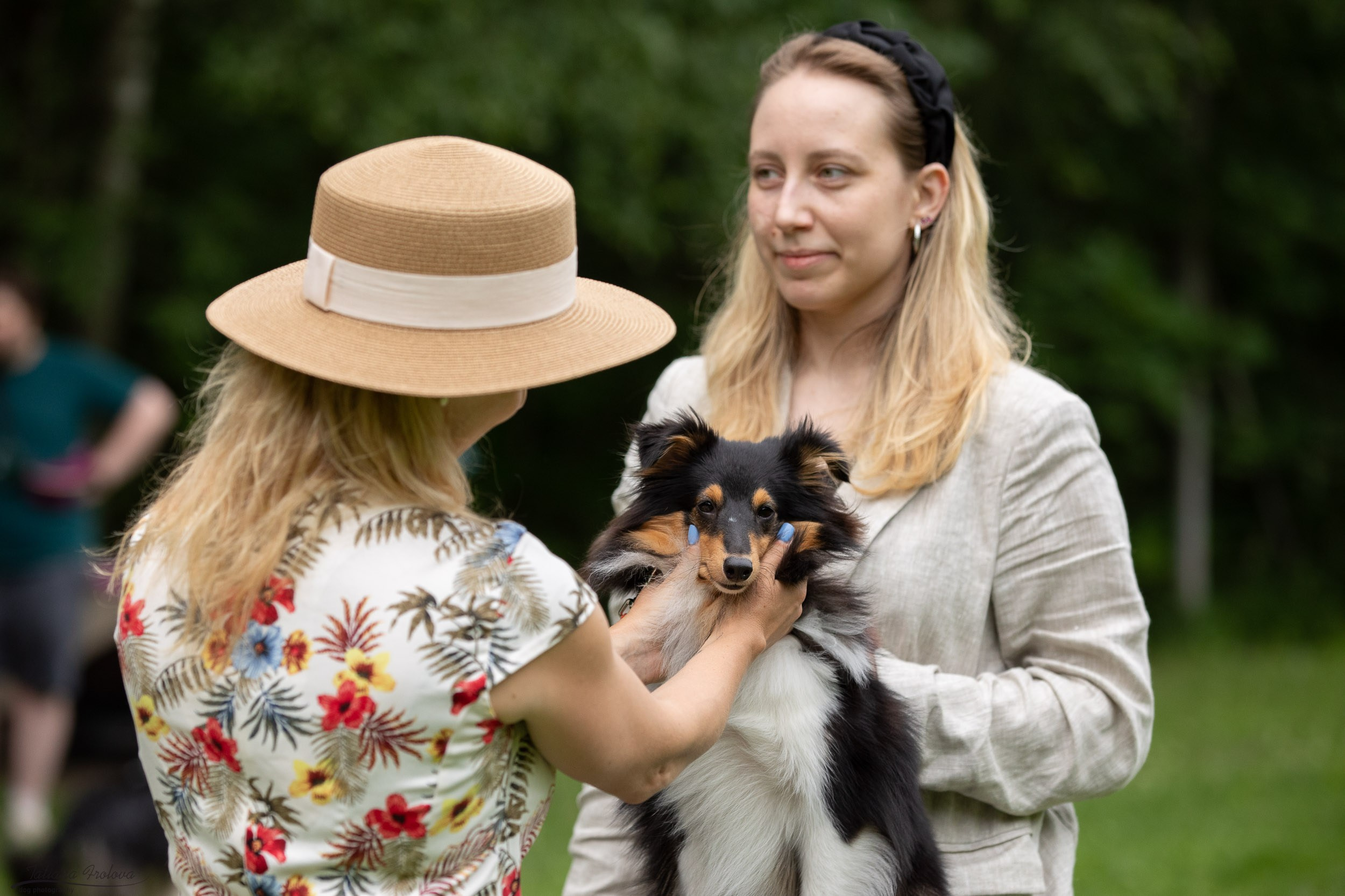 Репортаж с выводки молодняка колли/шелти в Ясенево. Фотограф-анималист в Москве и Московской области Татьяна Фролова