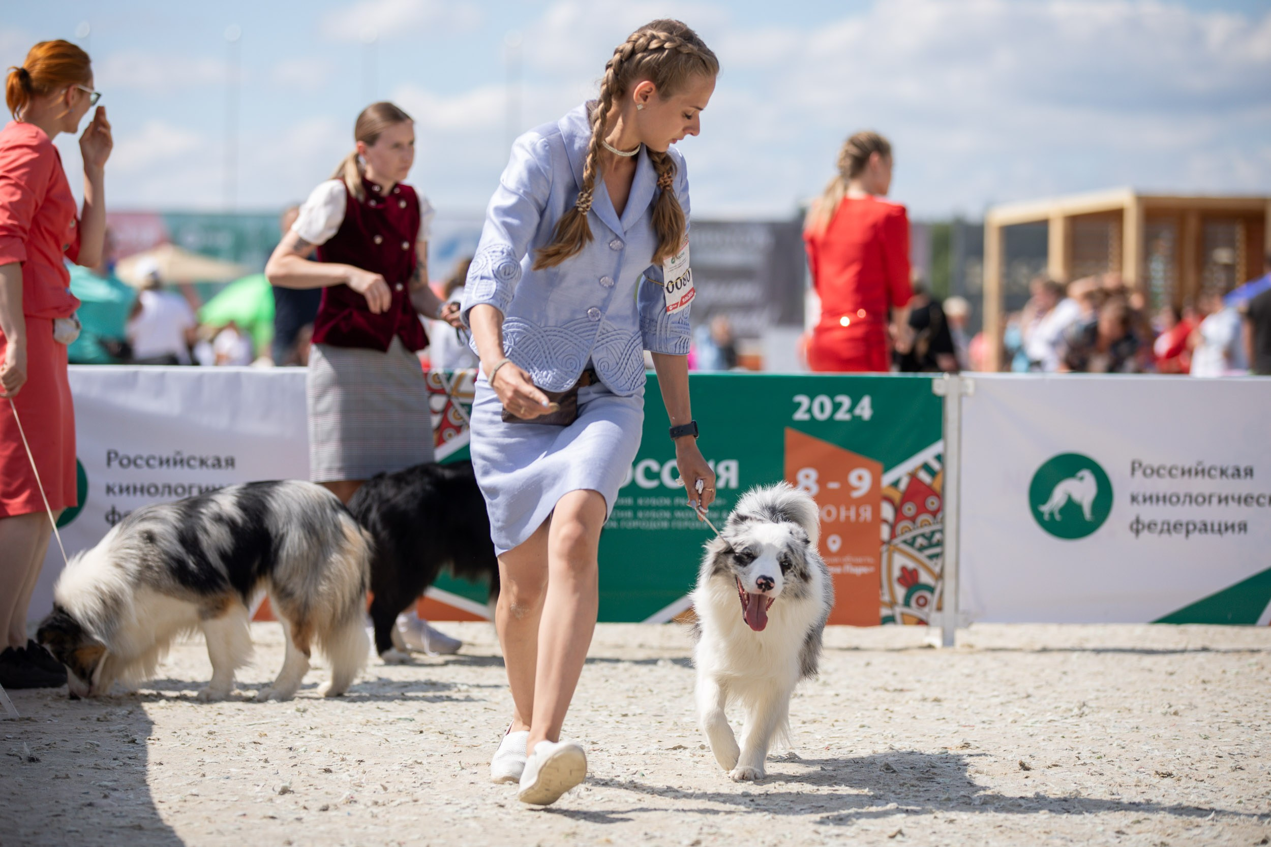Репортаж с выставки Россия. Фотограф-анималист в Москве и Московской области Татьяна Фролова