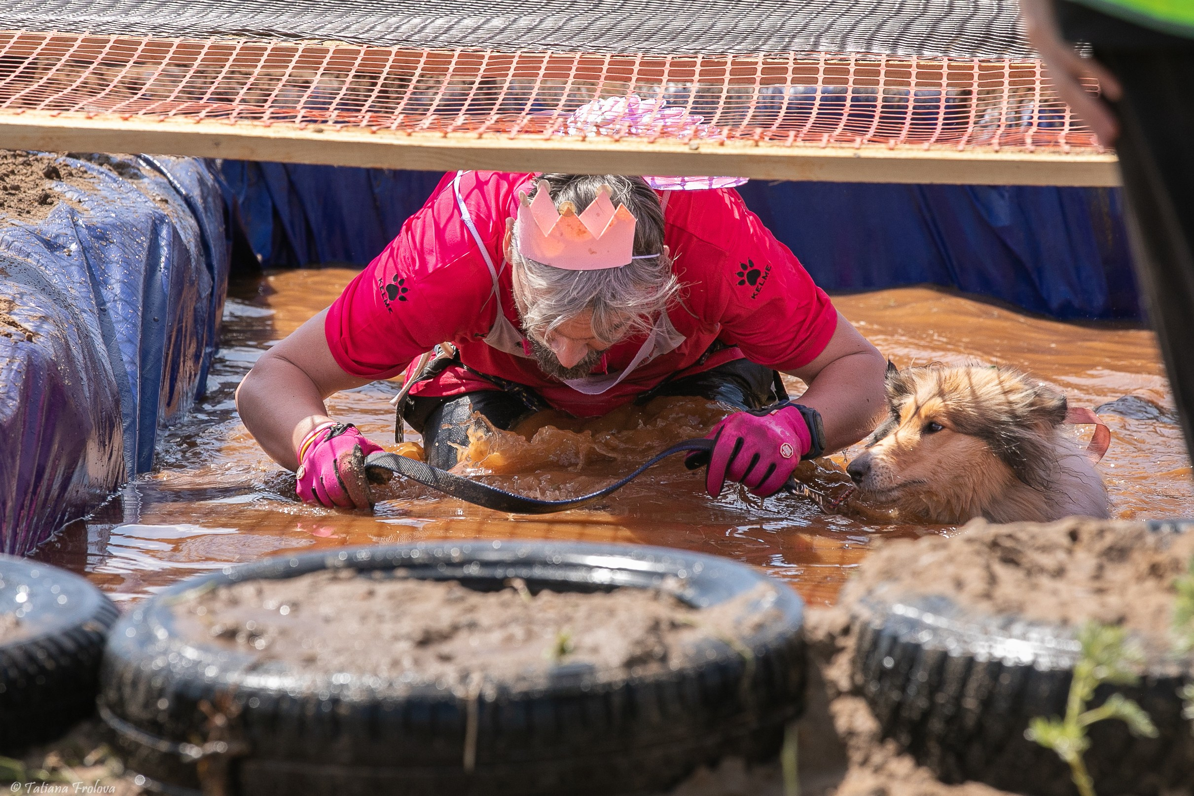 Фоторепортаж с забега с собаками. Фотограф-анималист в Москве и Московской области Татьяна Фролова