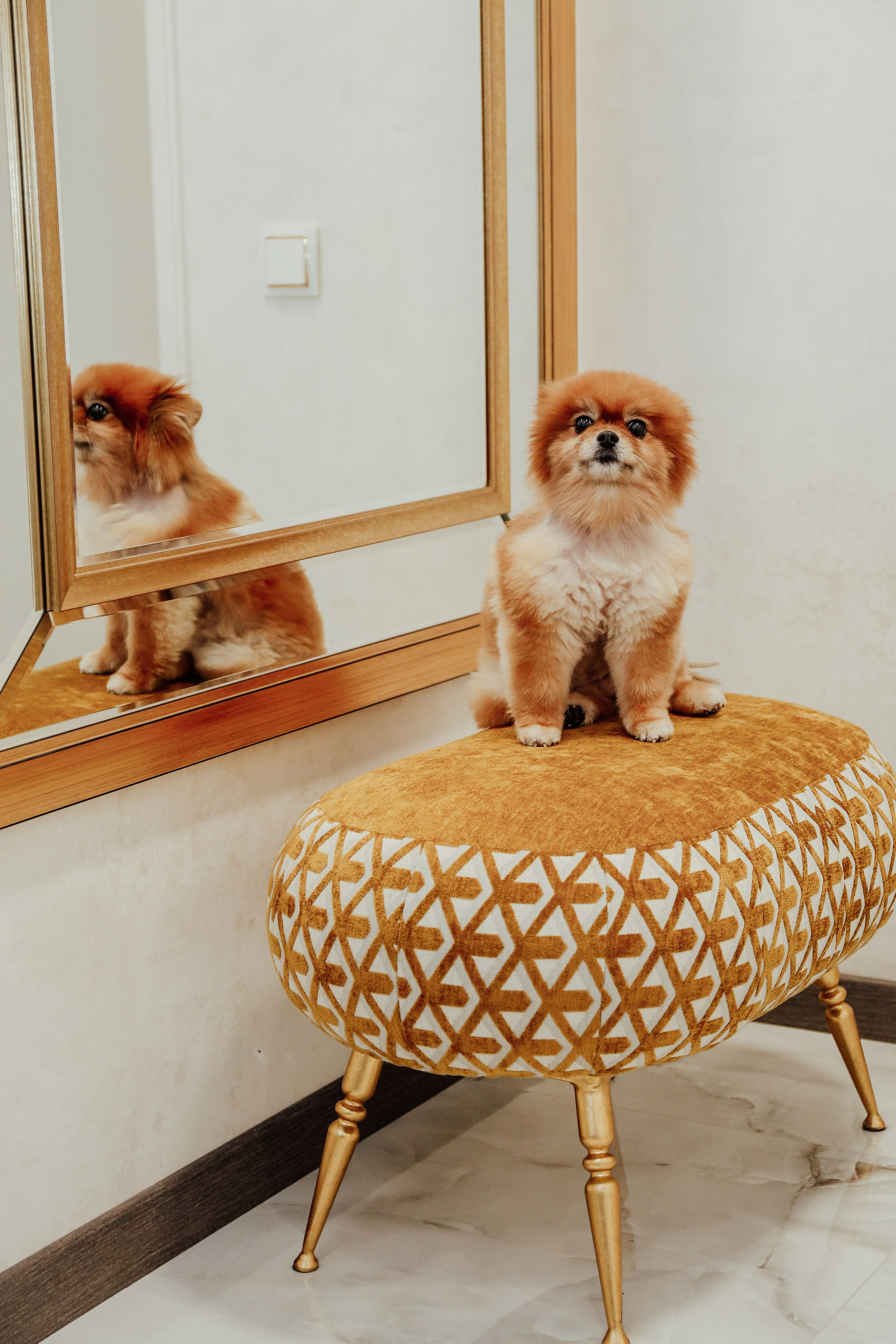 Фотосессия интерьера, квартиры , дома  Йошкар Ола. Свадебный и семейный фотограф Баева Дарья, город Йошкар — Ола