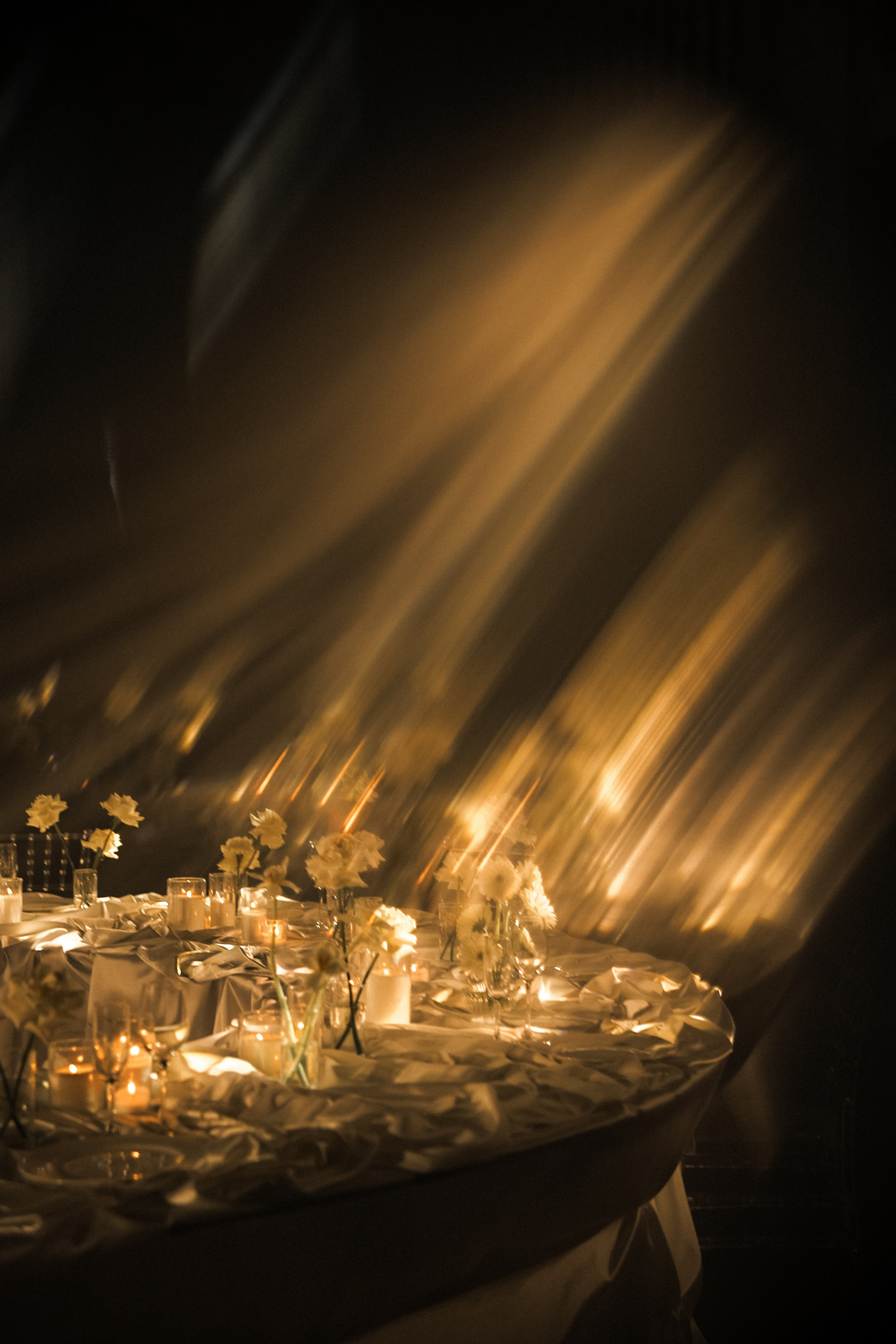 Вероника & Максим. Phdkvmr.ru