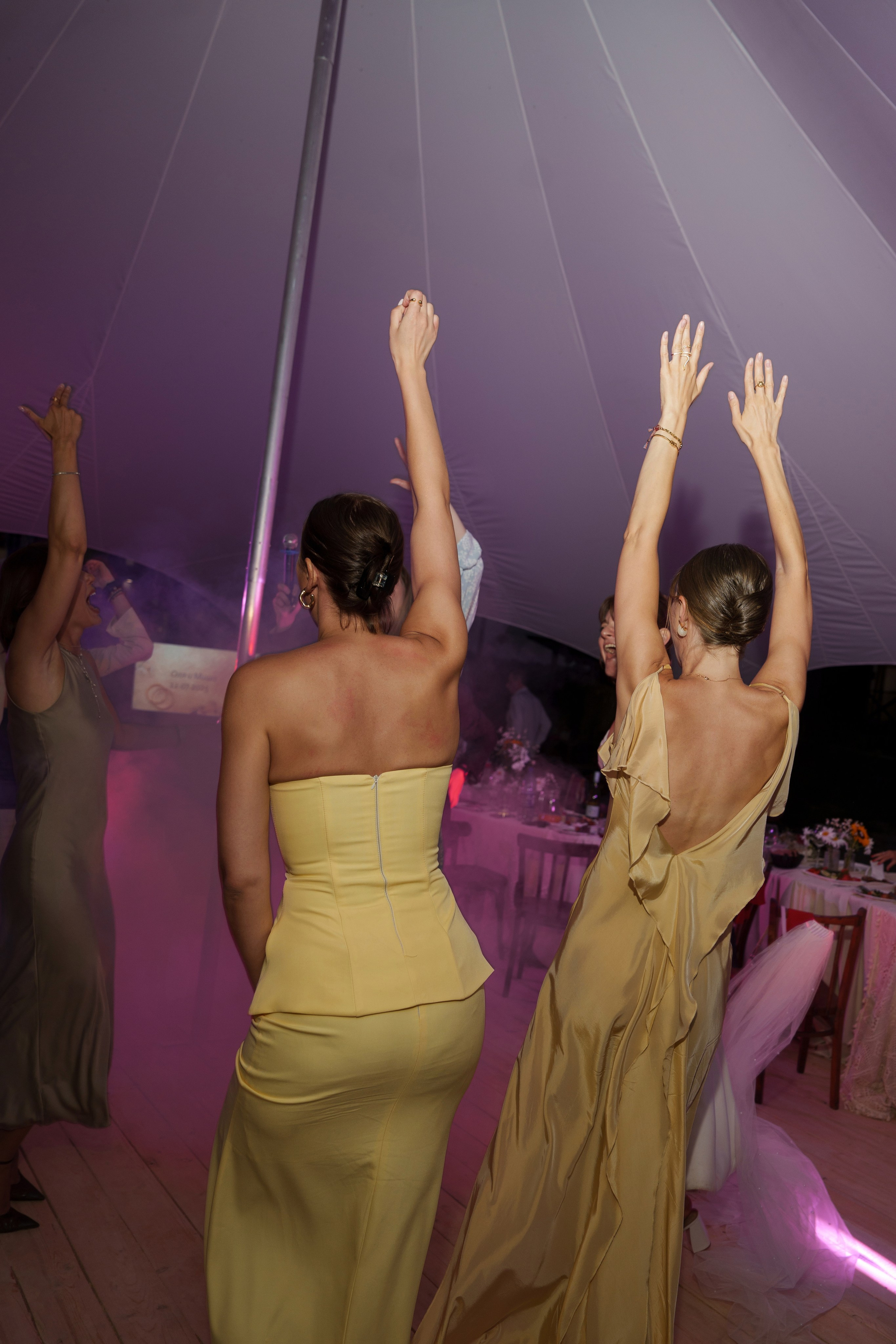 Михаил и Ольга (банкетная часть г. Брянск). Свадебный и репортажный фотограф Элина Козырьянова