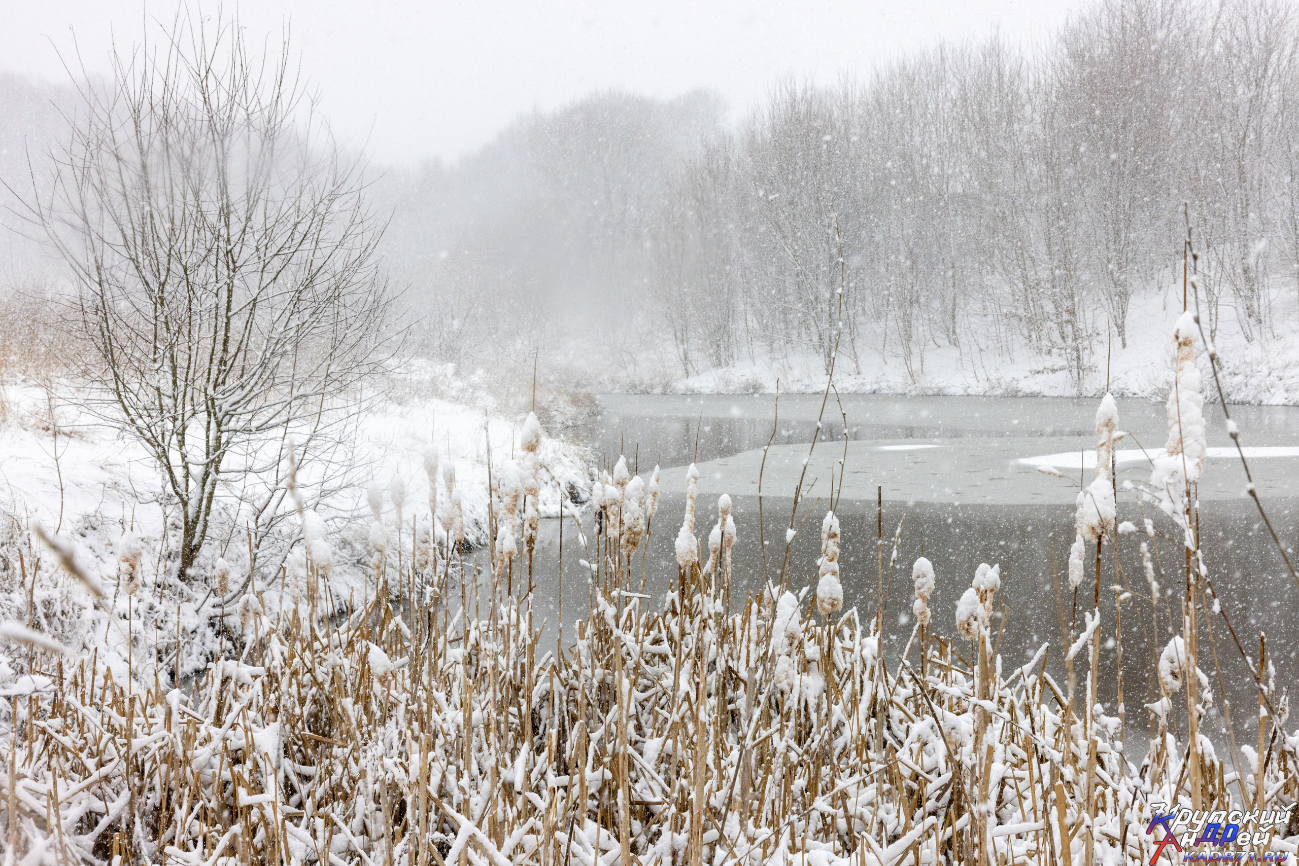 И снова Басово-Прудный. Фотограф в Туле Крупский АнДРей. Фотостудия «КАДР71» в Туле