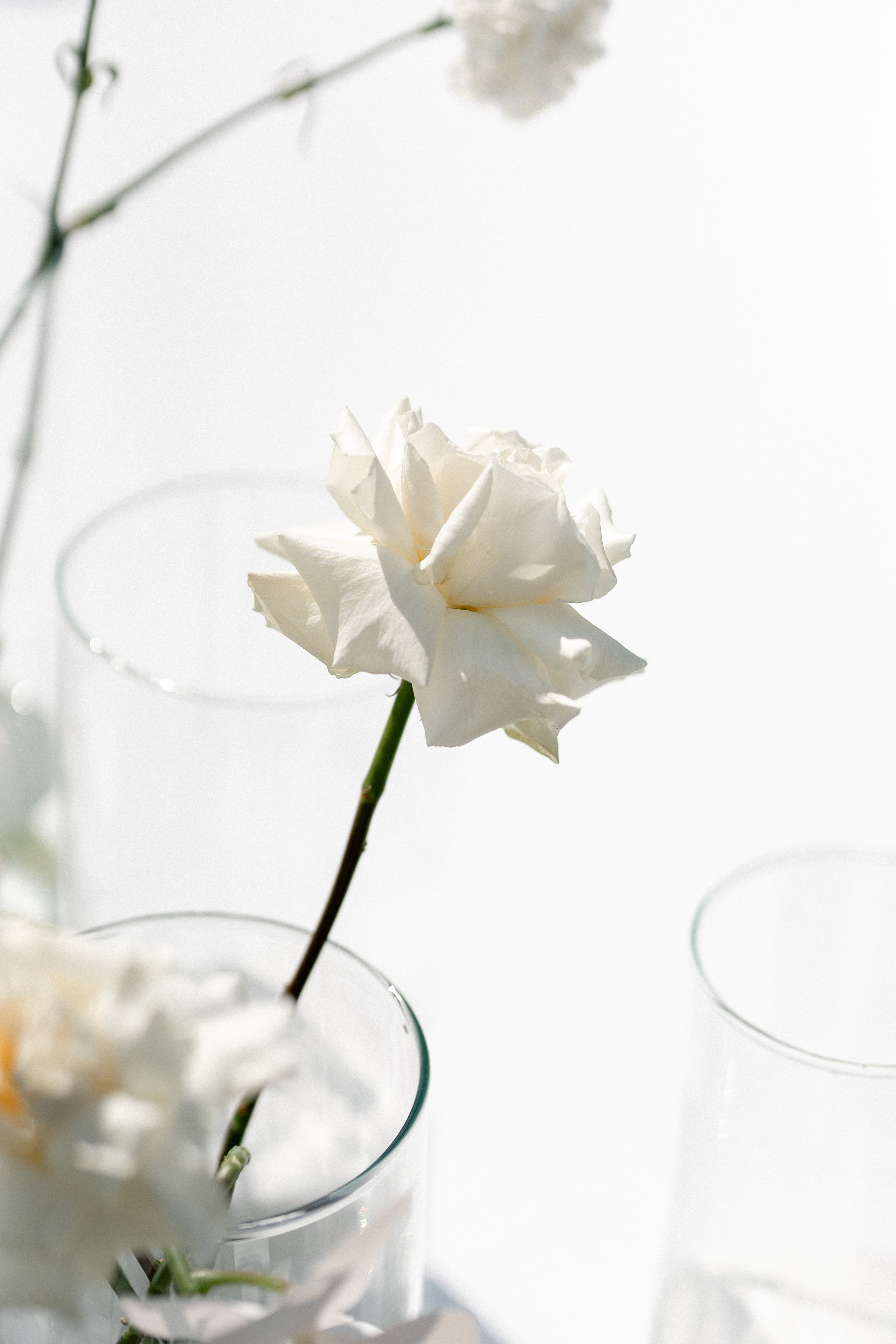 Заур и Анна. Свадебный и семейный фотограф в Орша