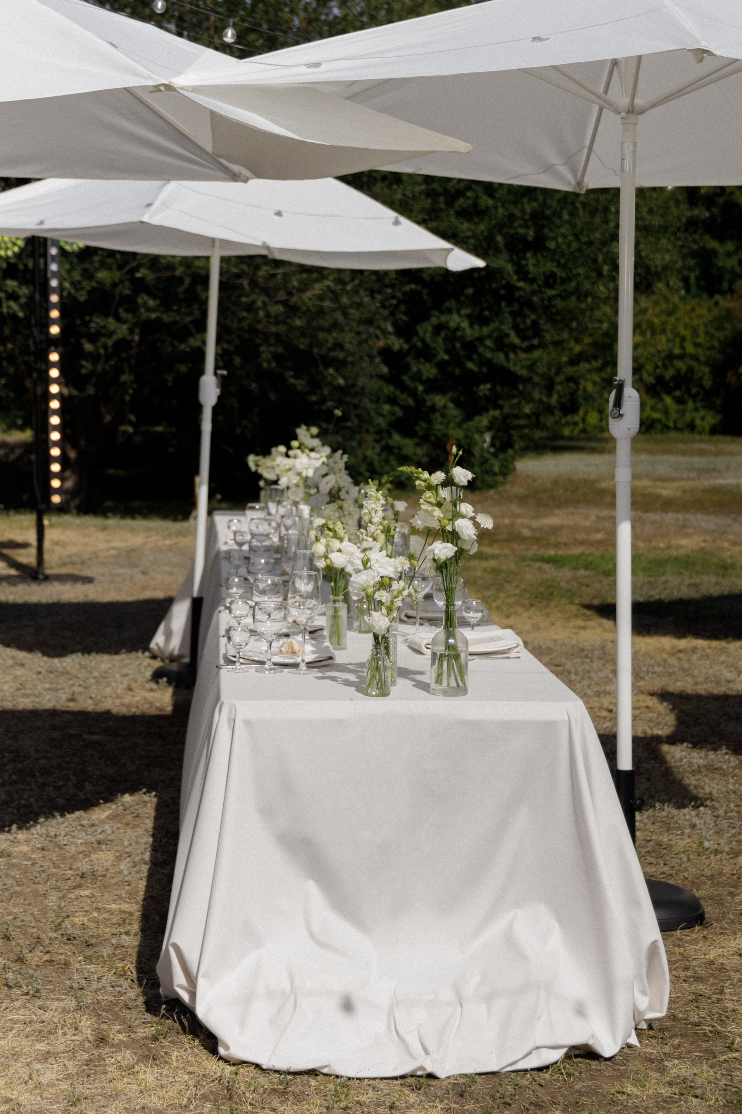 Станислав и Анастасия. Свадебный организатор в Тольятти | Самаре