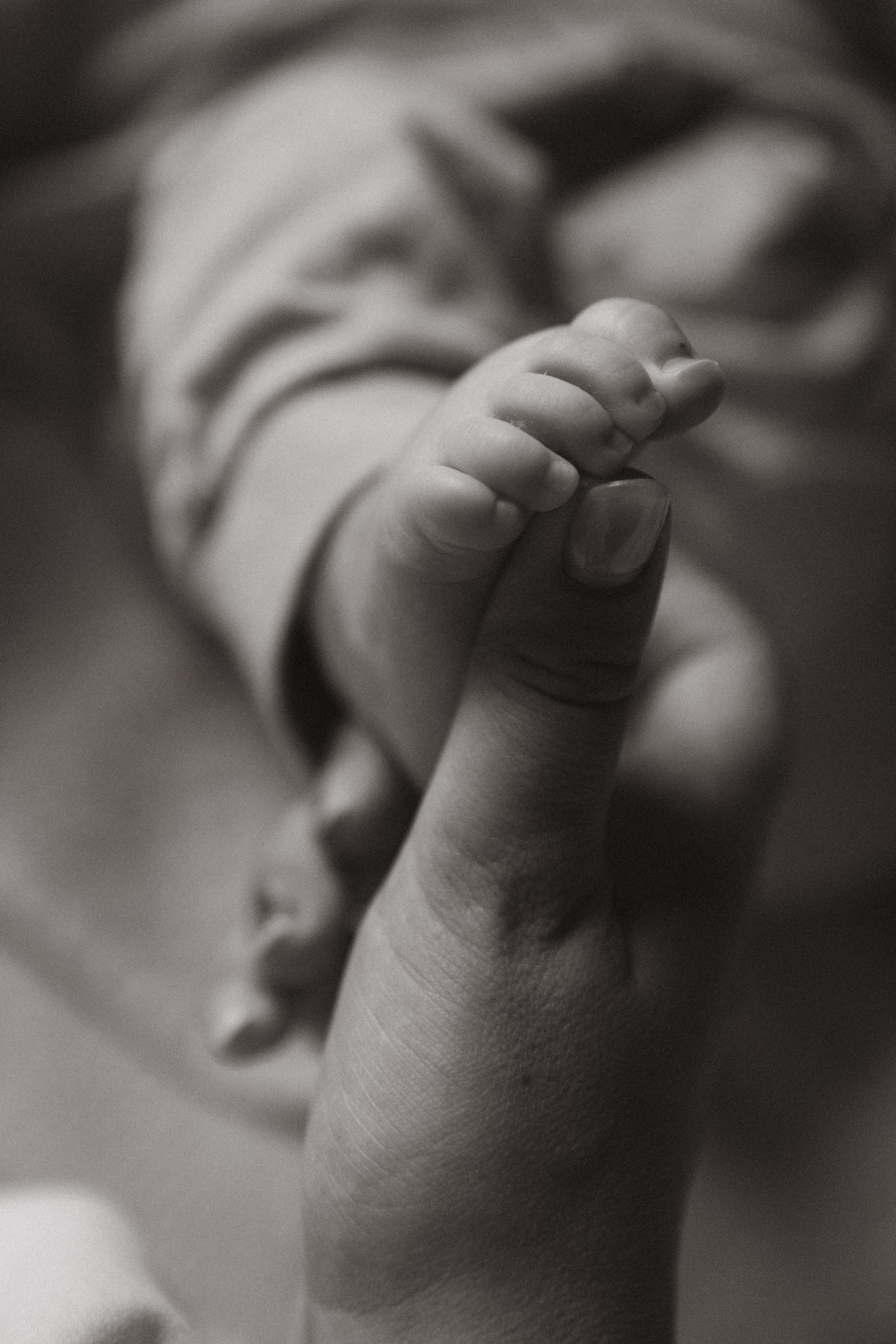 Семья. Фотограф в Нижнем Новгороде Воробьева Анжела