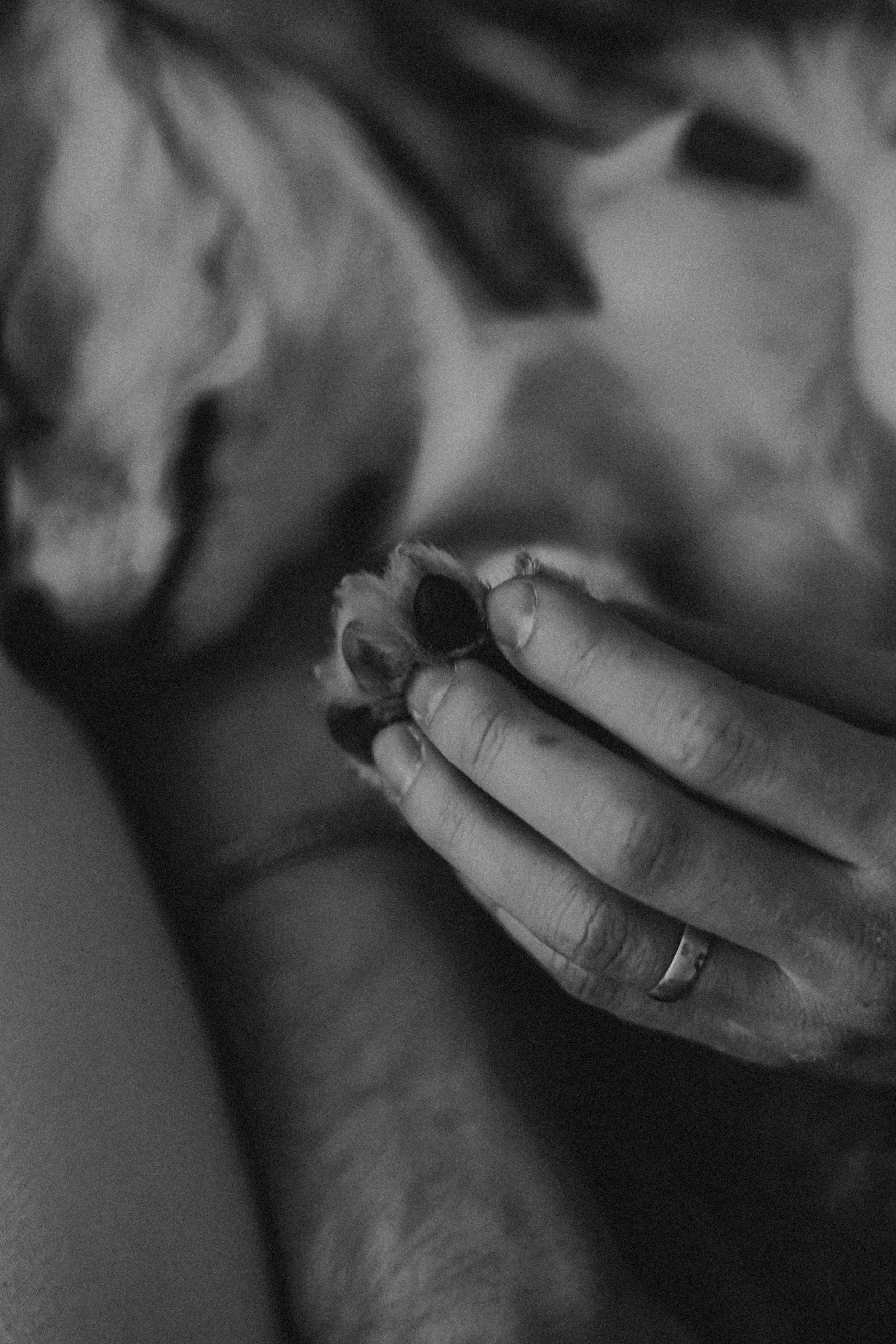 Антон&Марина&Дарси. Ваш фотограф Анастасия Болотникова