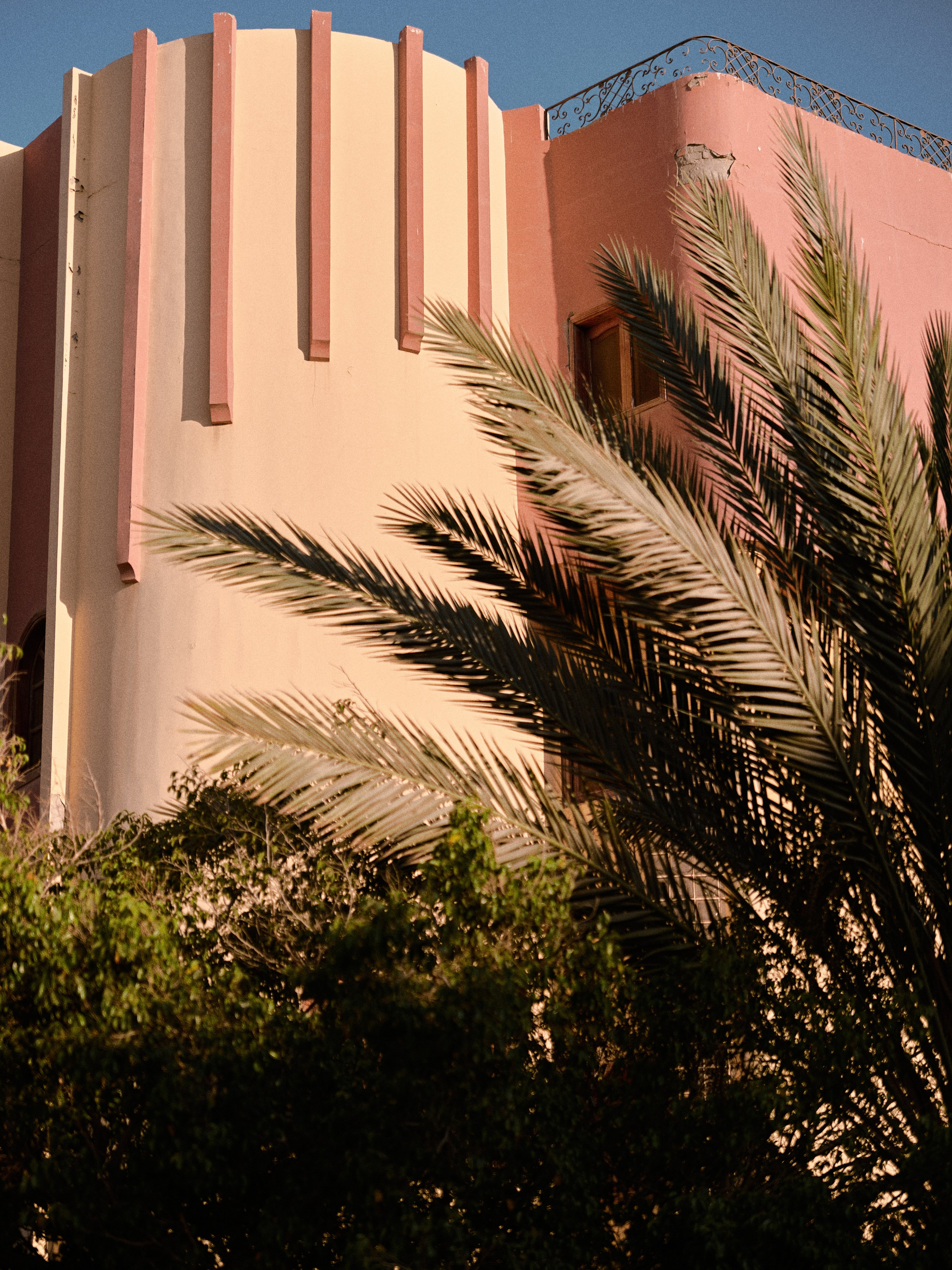 Природа сквозь. Jorgis Talè — photographer, kind person, teacher of arts and other mag