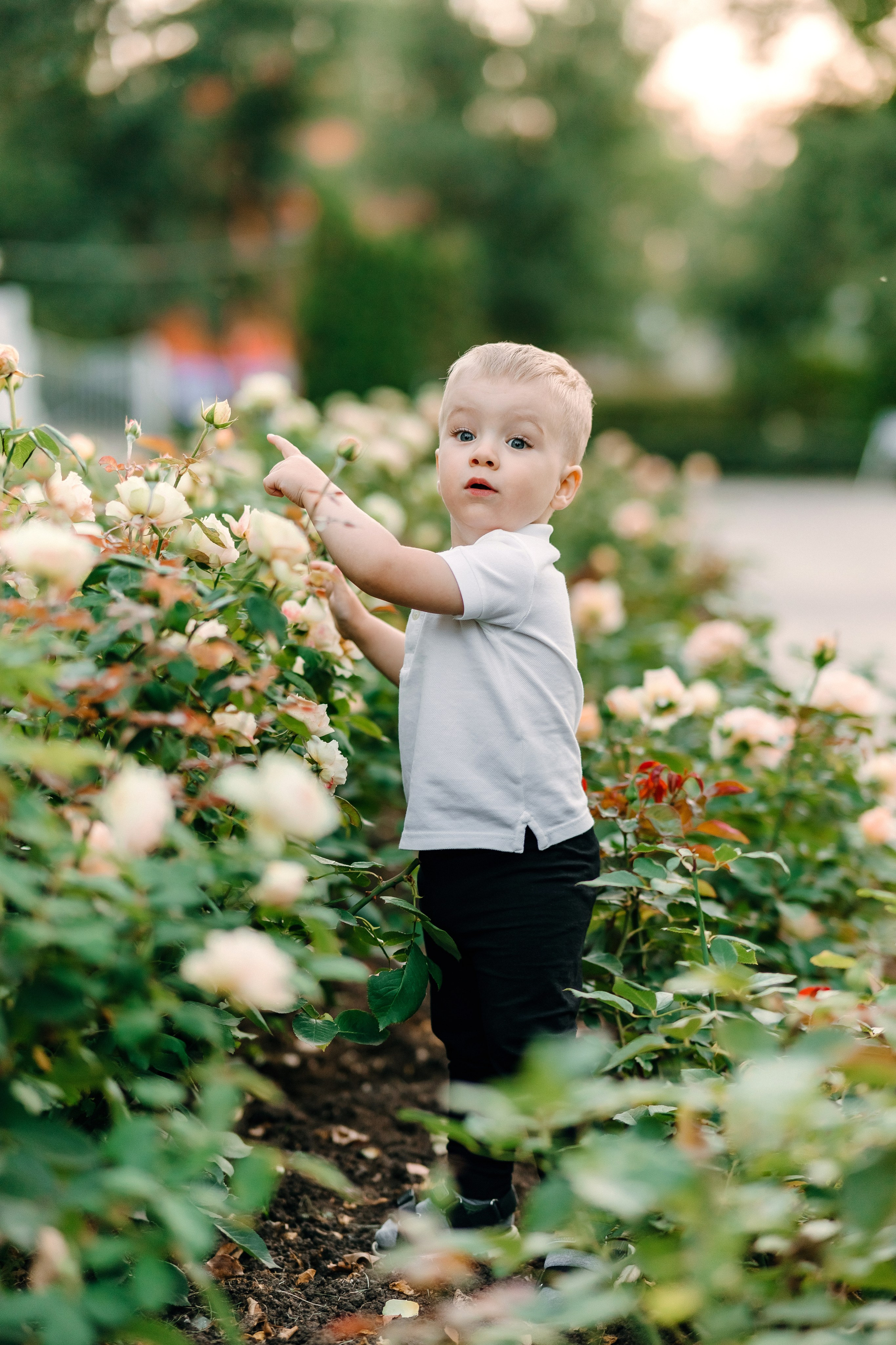 Александр и Наталья. Диана Тимиряева | Фотограф в Воронеже