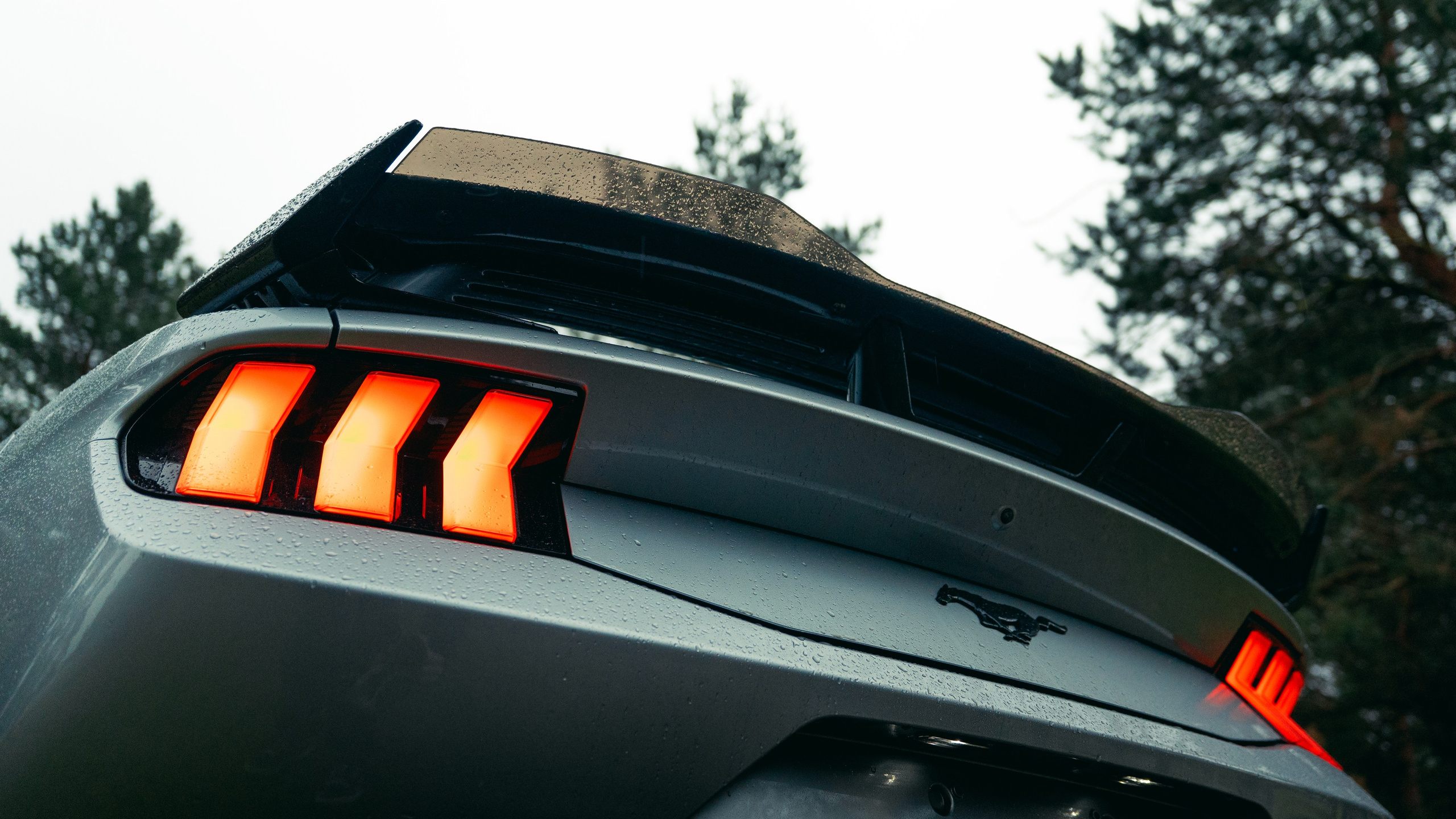 Фотографии Ford Mustang