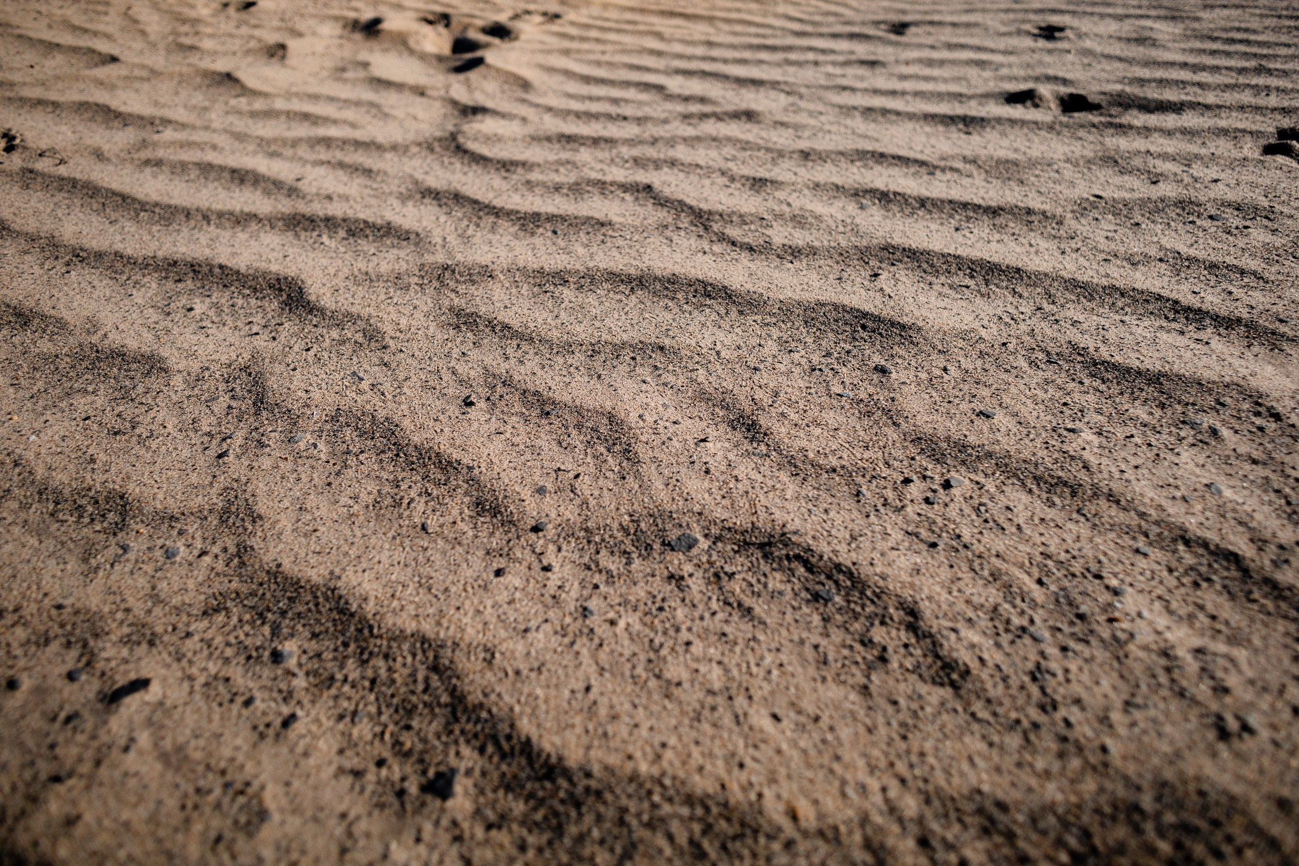 Глэмпинг Аномалия (Тульская область). Павел Шарапов | Фотограф | Москва