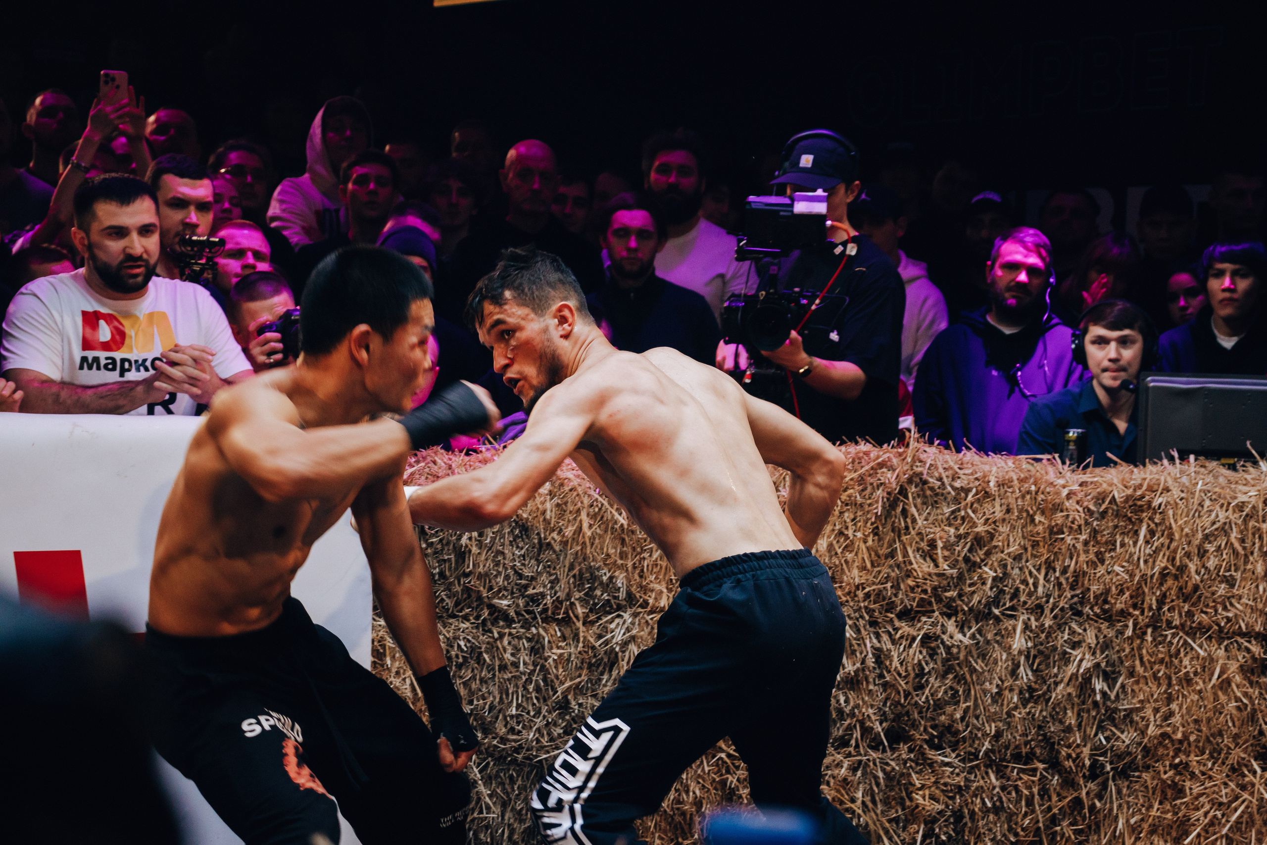 Кулачные бои TopDog. Анастасия Тен