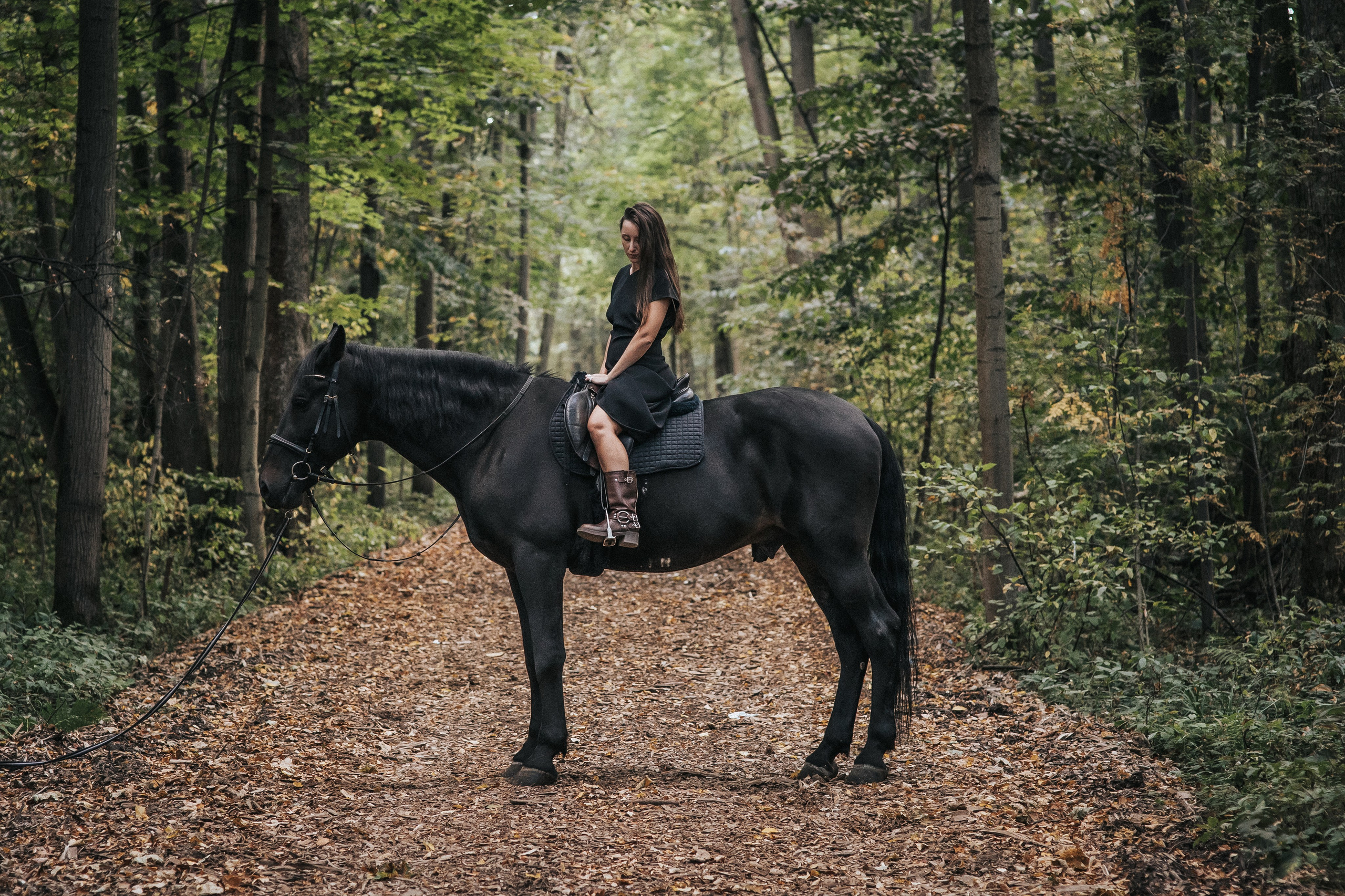 Большая семья и черный конь Султан. Семейный фотограф в Москве Наталья Чуб, заказать Фотокнигу