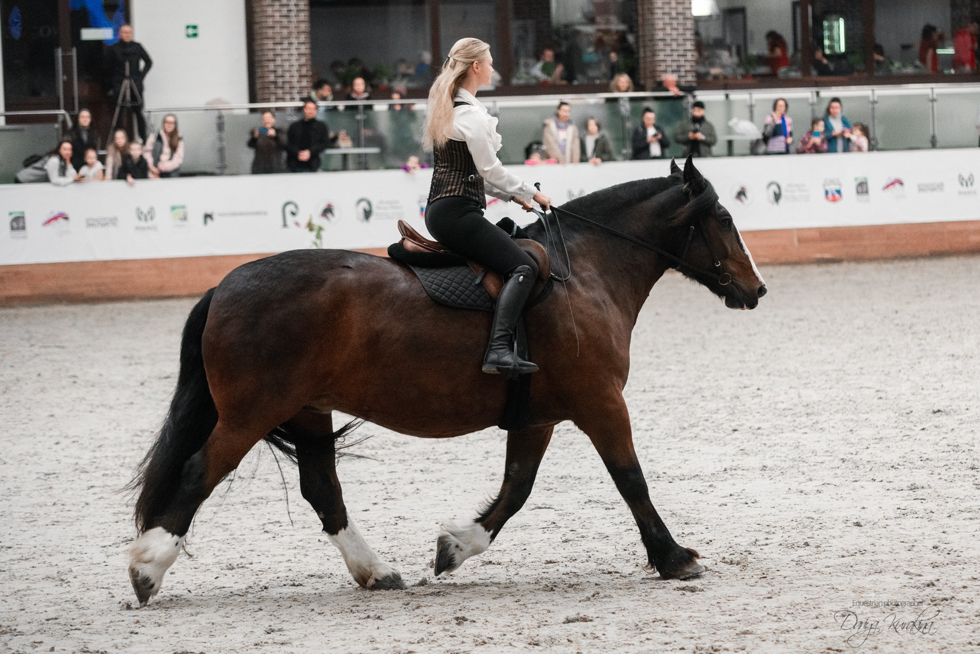 8-я международная выставка Конная Россия. Конный фотограф Куракина Дарья • Фотосессии с лошадьми