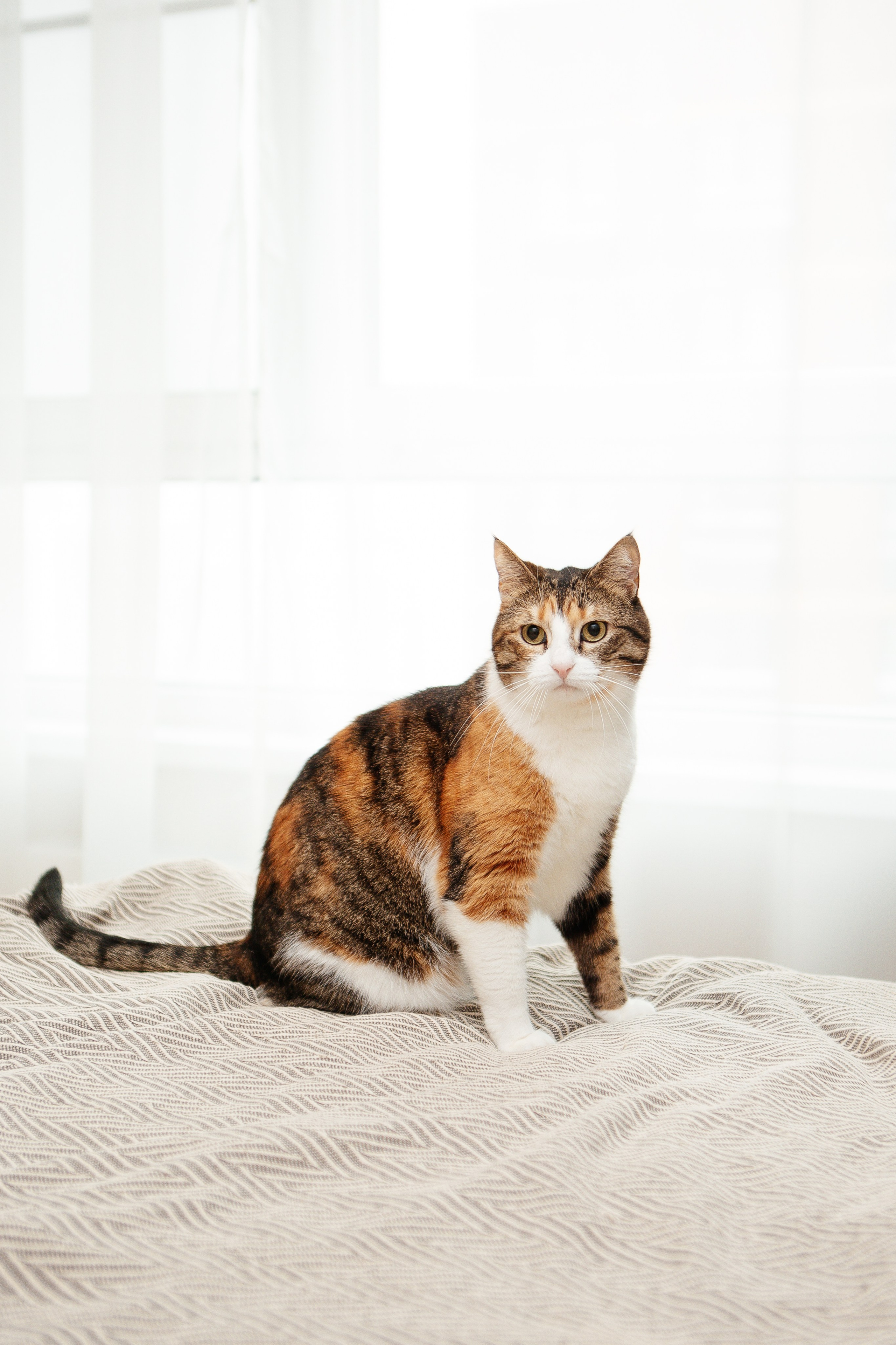 Роман и его семья. Семейный и детский фотограф в Москве Александра Мак