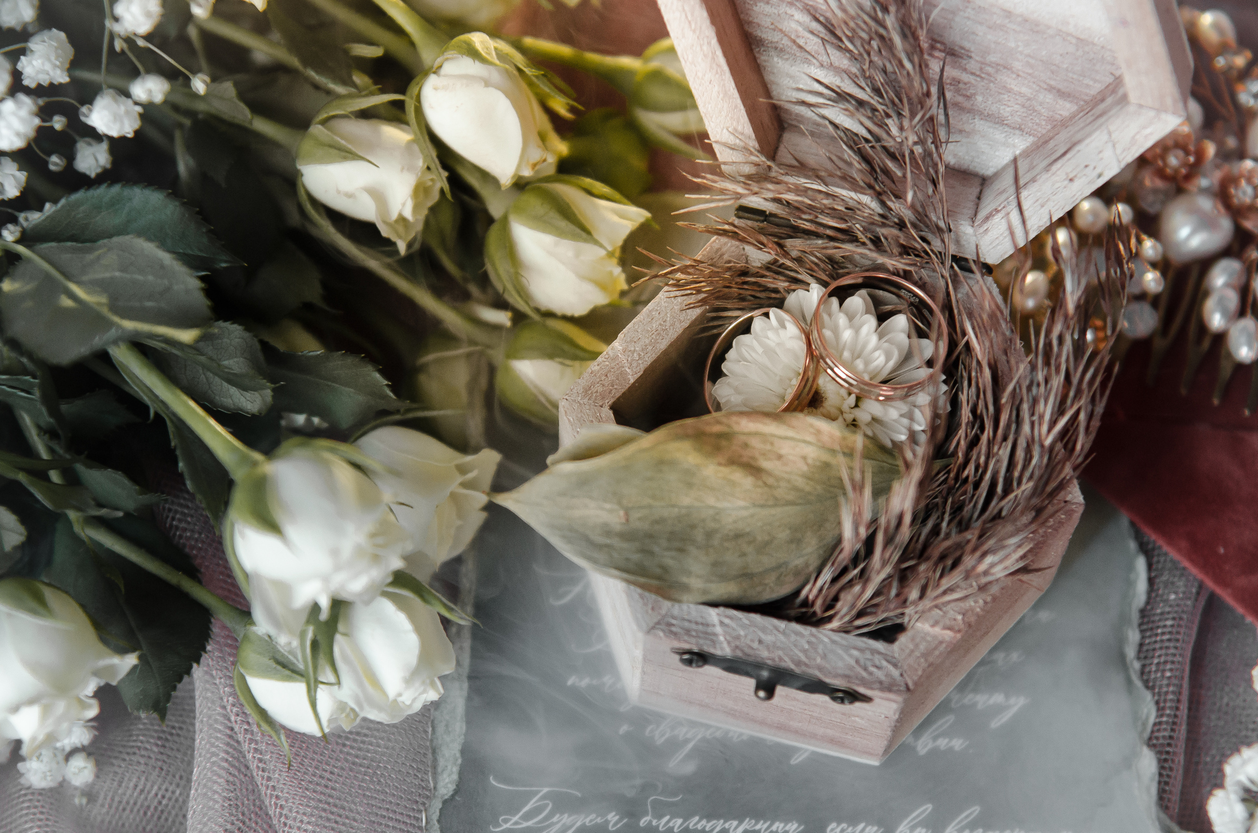 T&D. Фотограф в Кемерово, Ольга Гаврилова