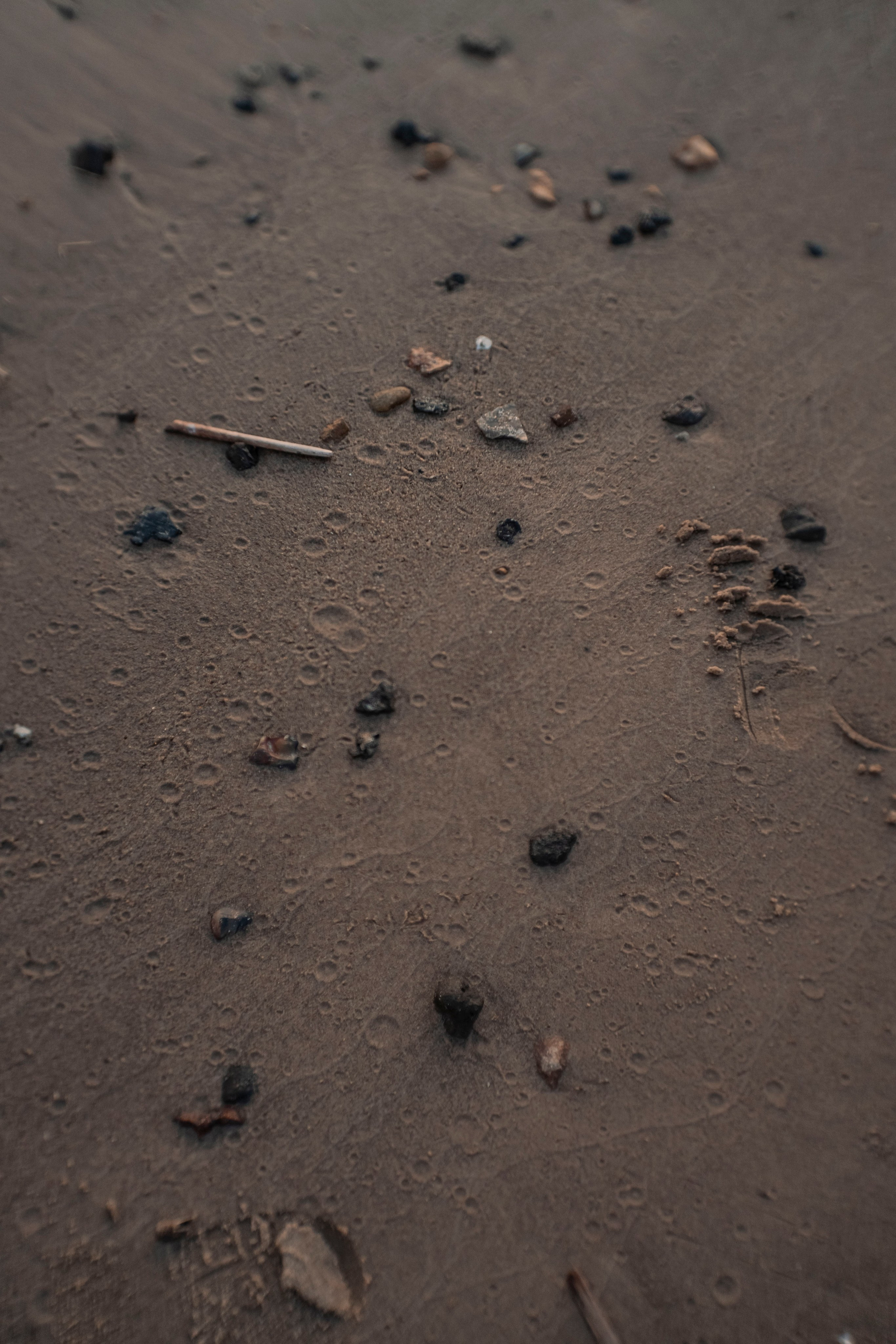 Spriing princess. Фотограф Димитровград Казань Валерия Владимиркина