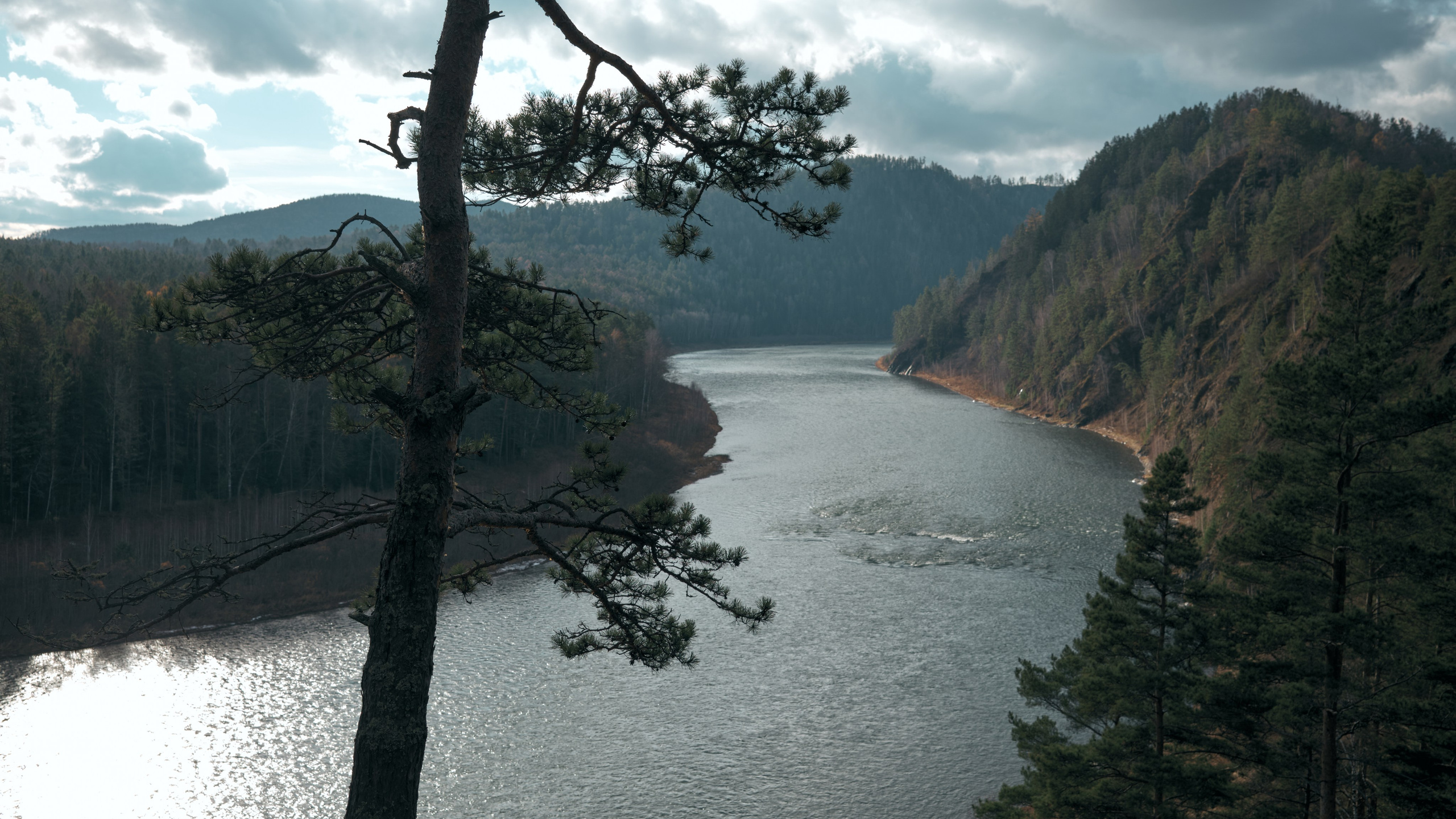 Природа. Александра Панина фотограф, портрет, семья, бизнес, Новосибирск