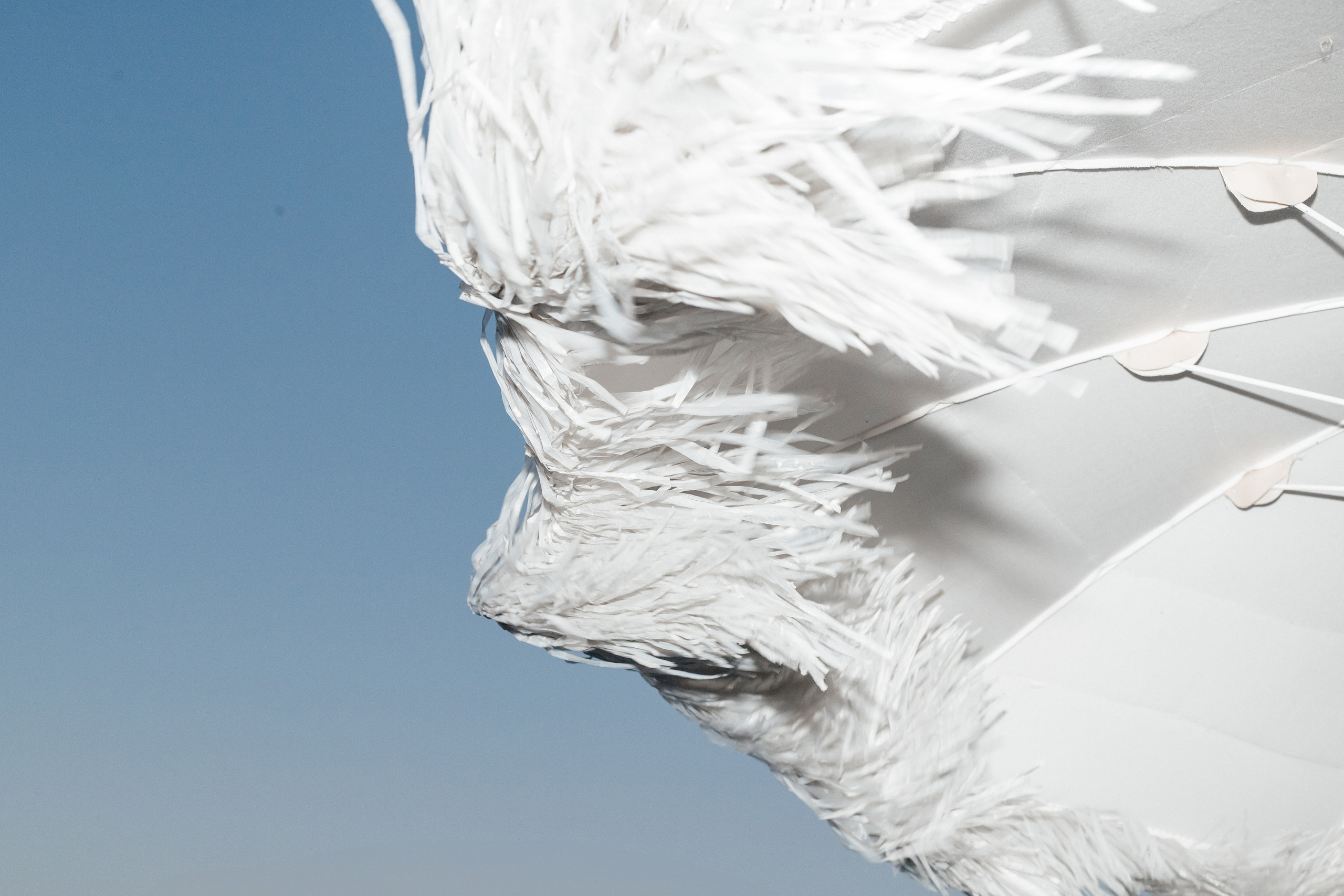 POOL STORY. Свадебный фотограф в Ростове-на-Дону