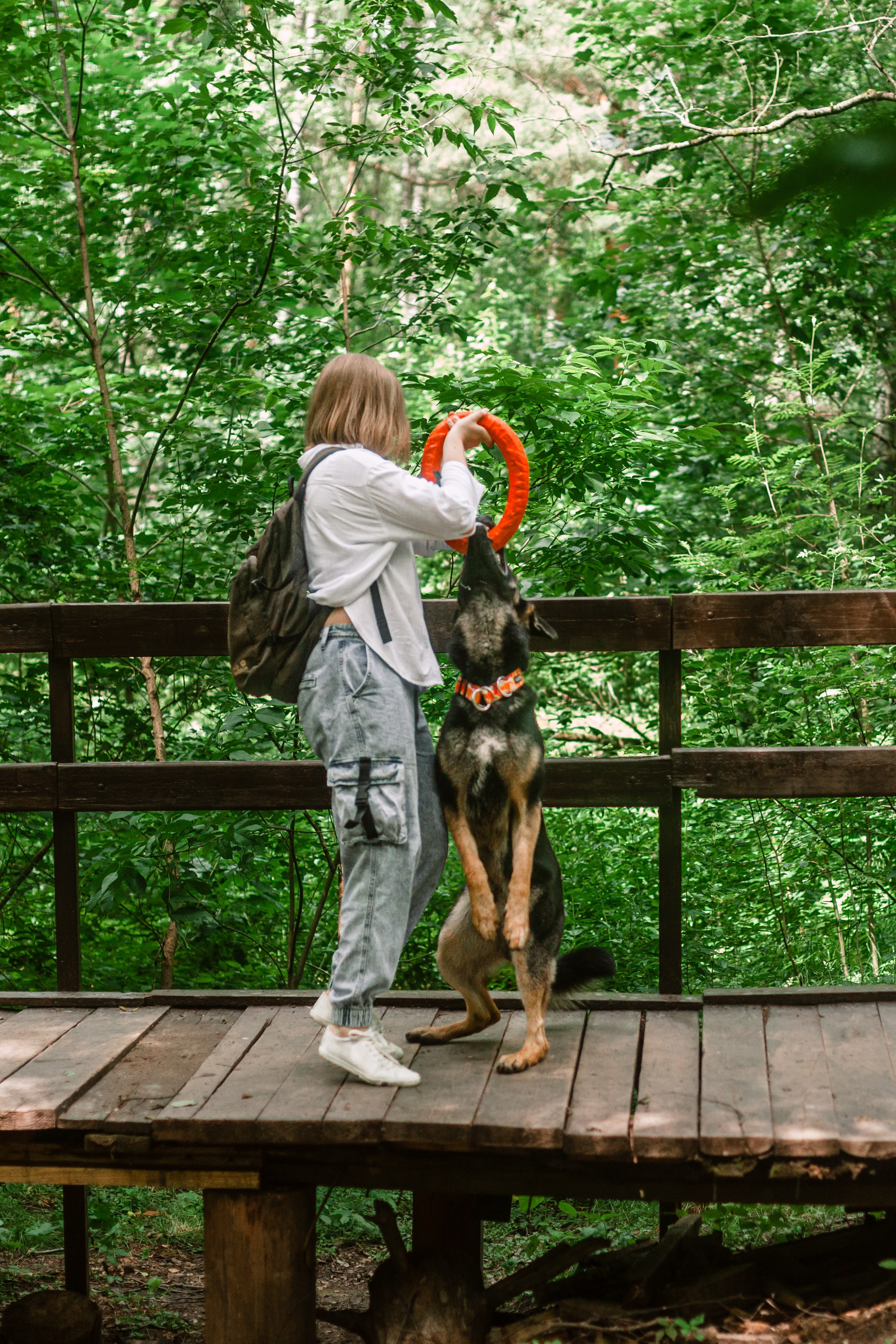 Лесная летняя фотопрогулка. Фотограф-анималист Татьяна Степанова