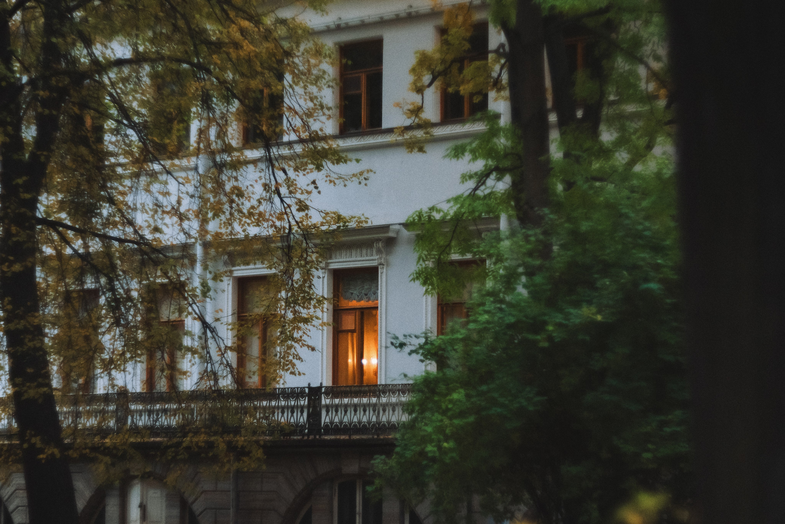 Autumn. Свадебный фотограф Санкт-Петербург DanyaPhotoart