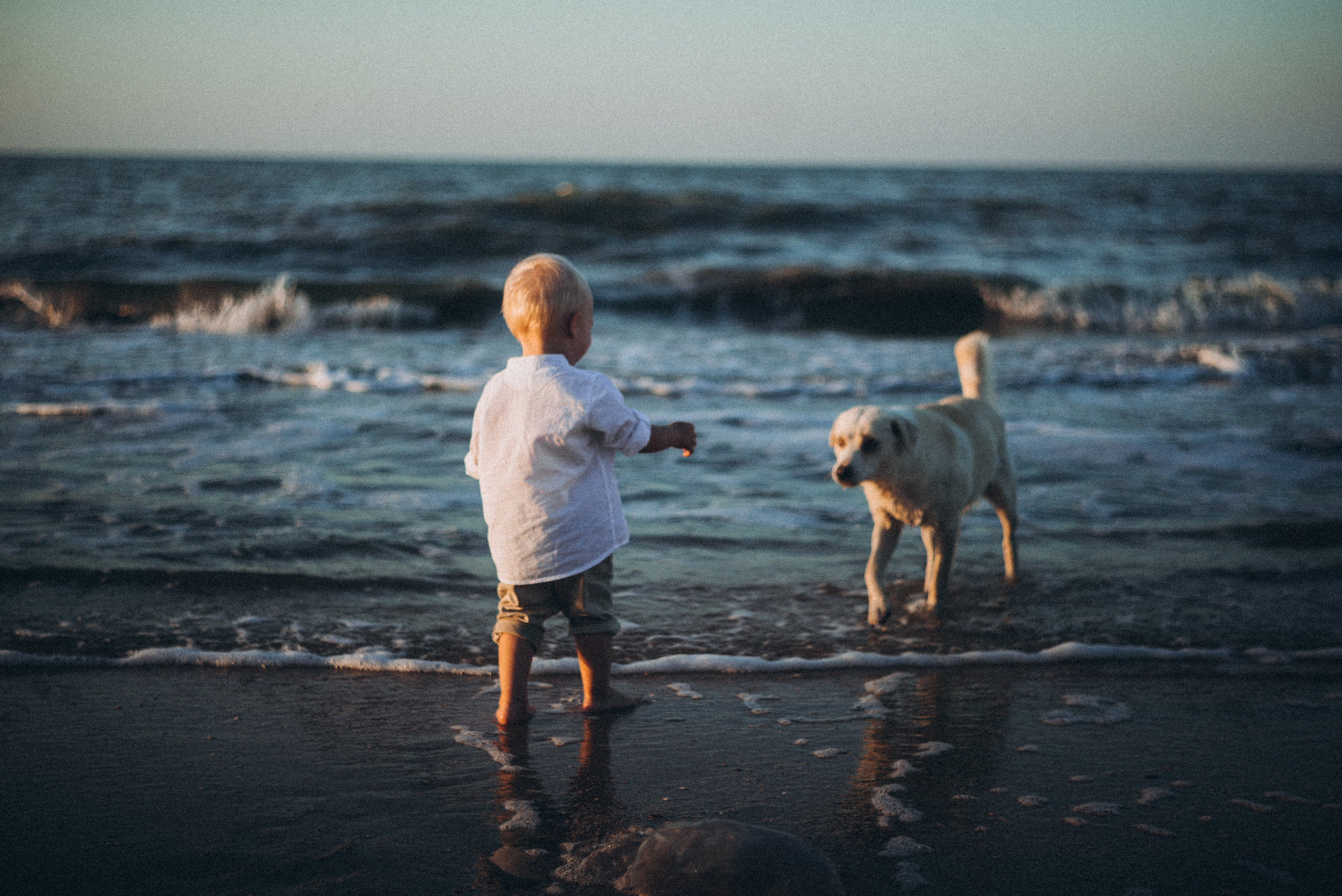 Оля+Саша+Сёма. Свадебный и семейный фотограф город Темрюк Фотостудия Темрюк
