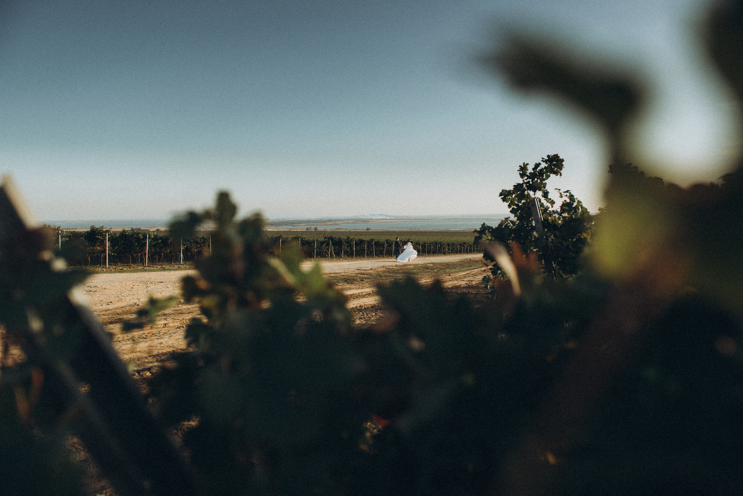 Лина и Максим. Свадебный и семейный фотограф город Темрюк Фотостудия Темрюк