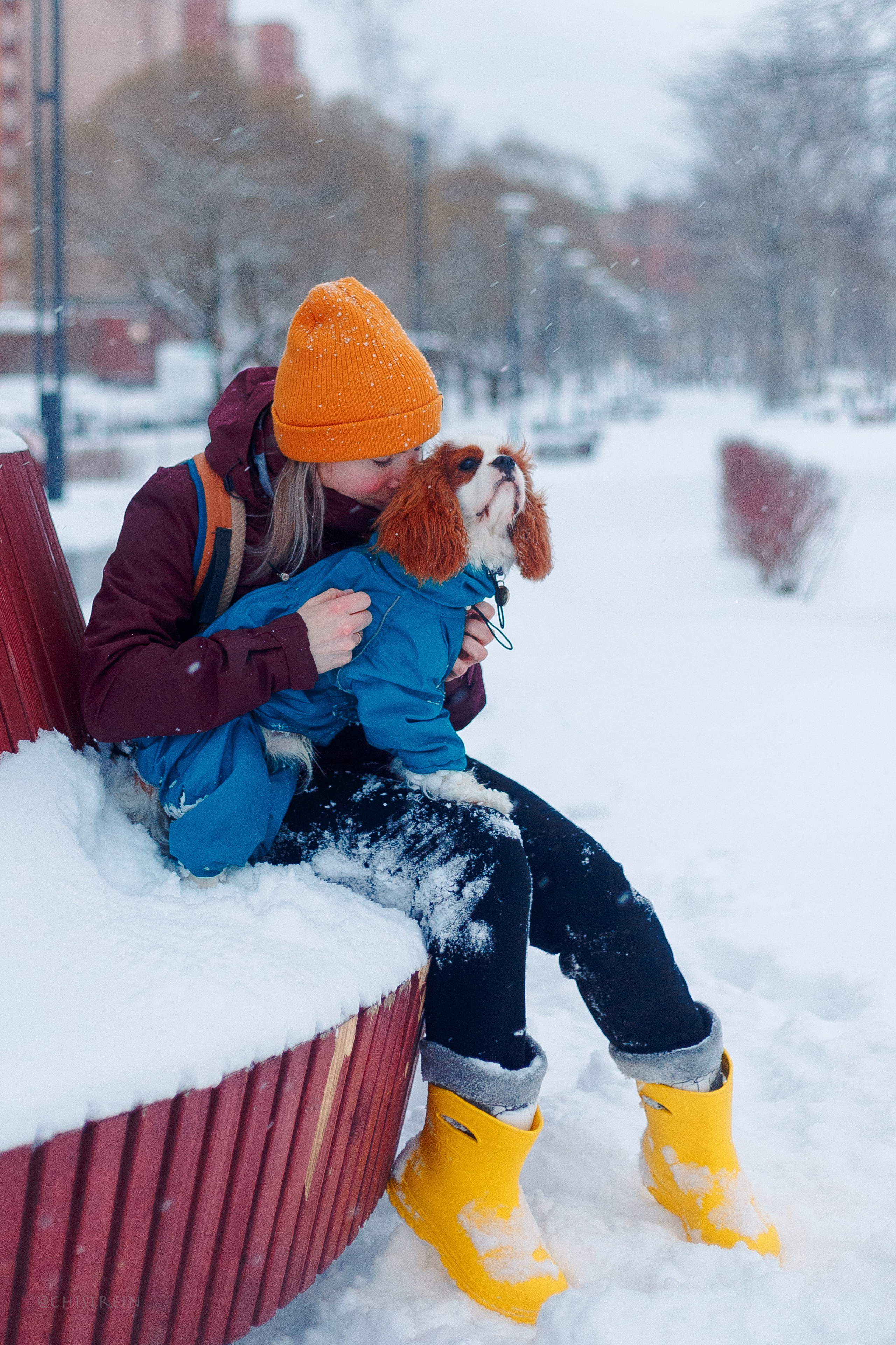Внезапно апрельская зима. Фотограф-анималист Наталия Чистюхина в г. Сосновый Бор и ЛО