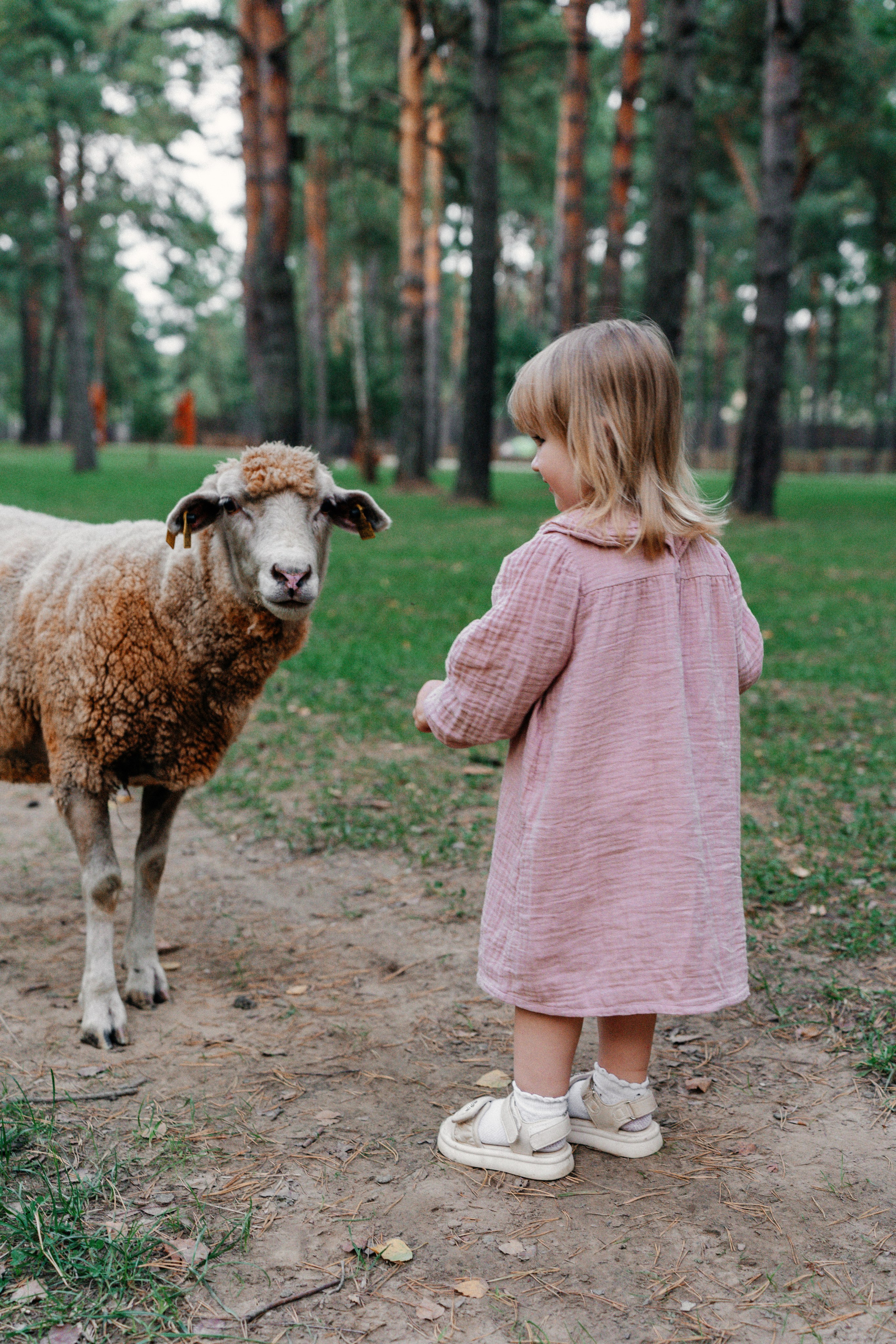 Диприз — в мире диких животных. Ваш семейный фотограф в Минске — Вика Трегубова