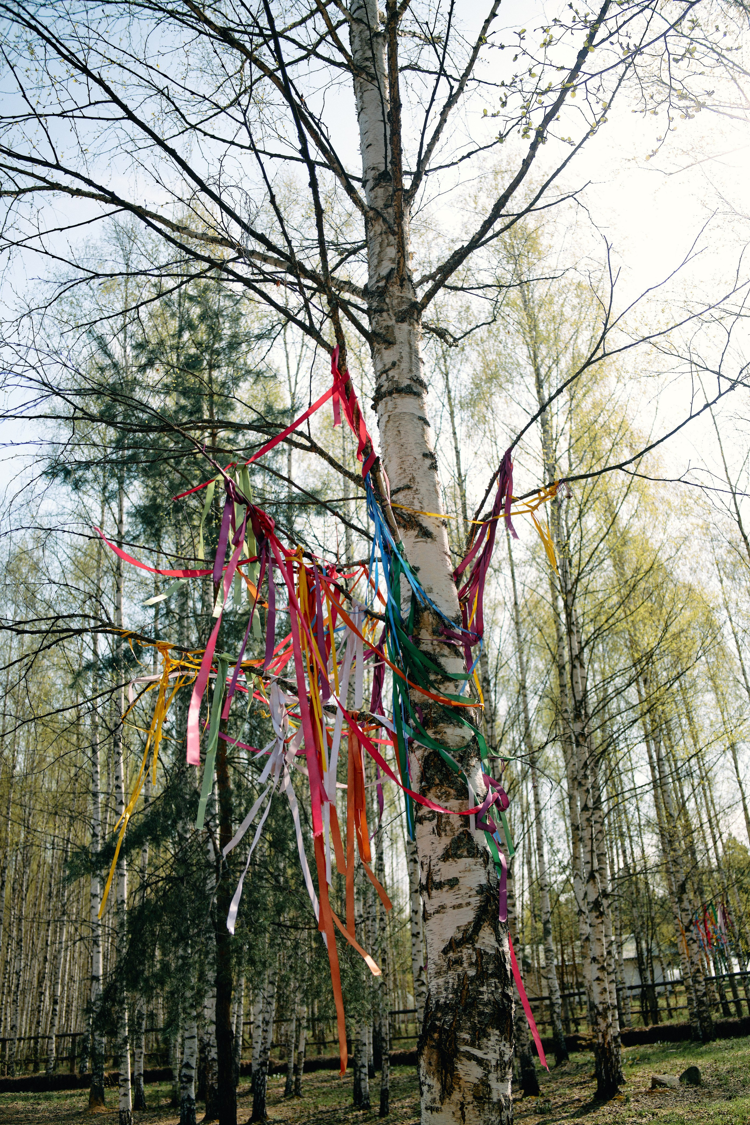 Бутик-отель Поле летом. Профессиональный Фотограф во Владимире, в Москве и в Суздале — Полина Романычева