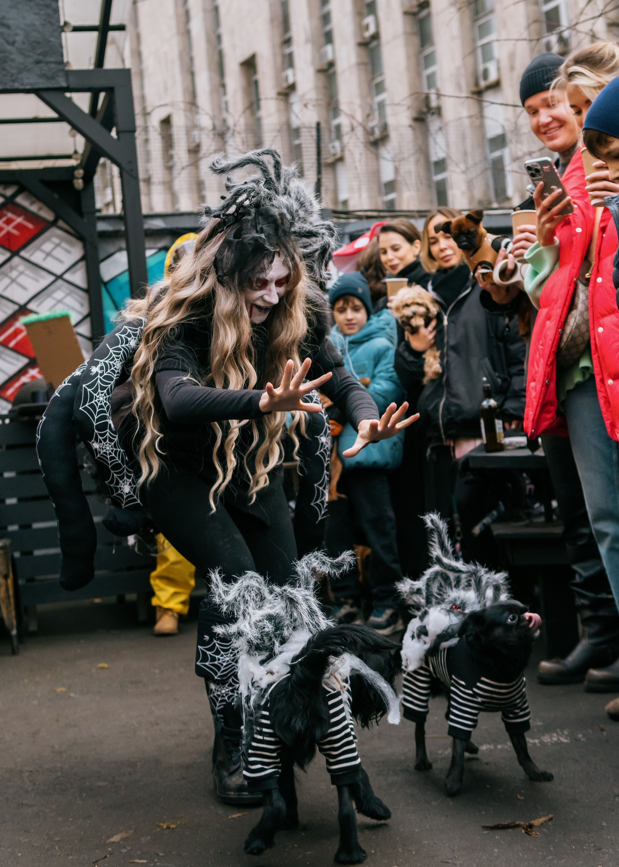 Тематическая встреча породников «Griffween». Фотограф-анималист Ксения Воробьева, Москва