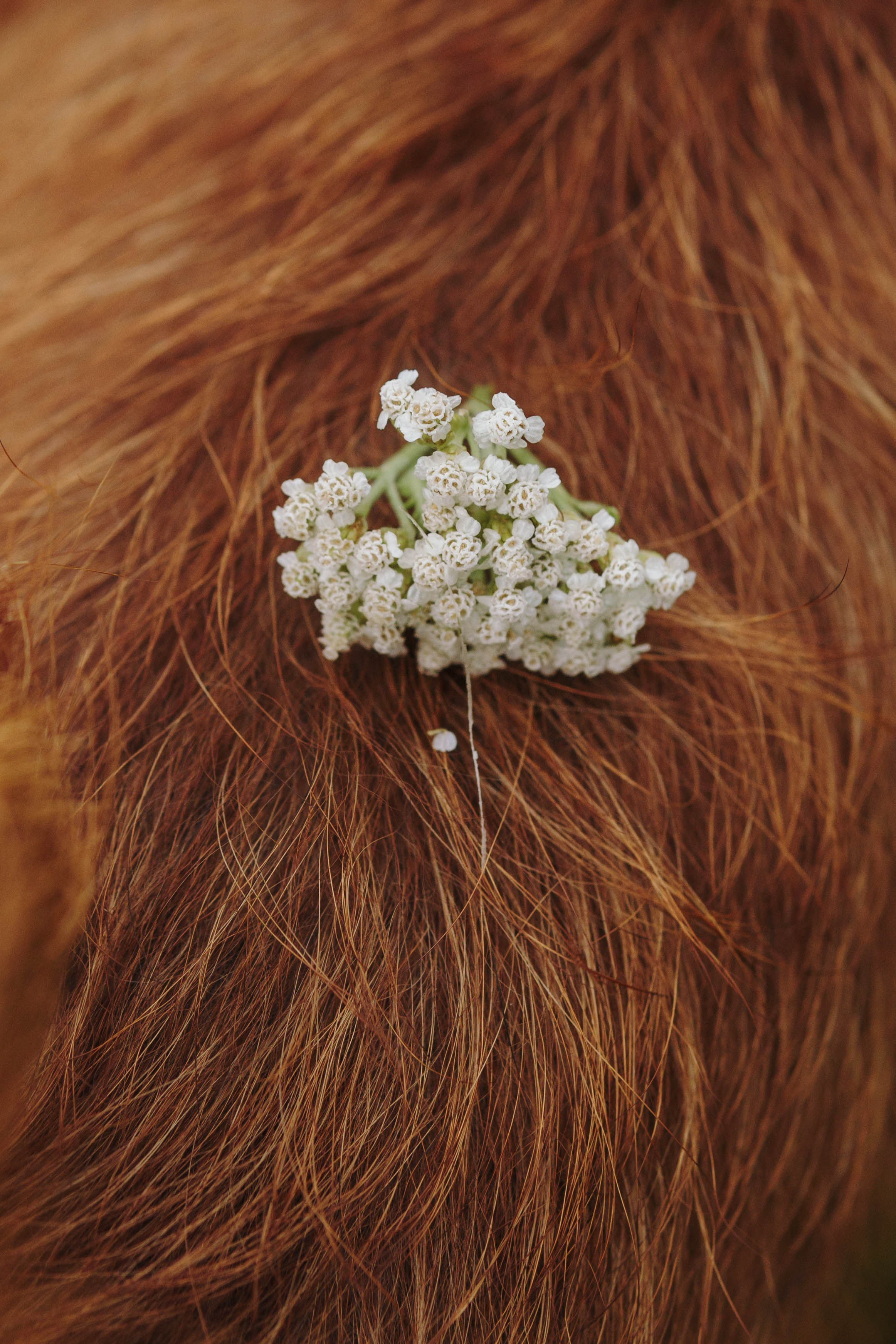 Наташа, Сережа и Хавьер. Фотограф-анималист Ксения Воробьева, Москва