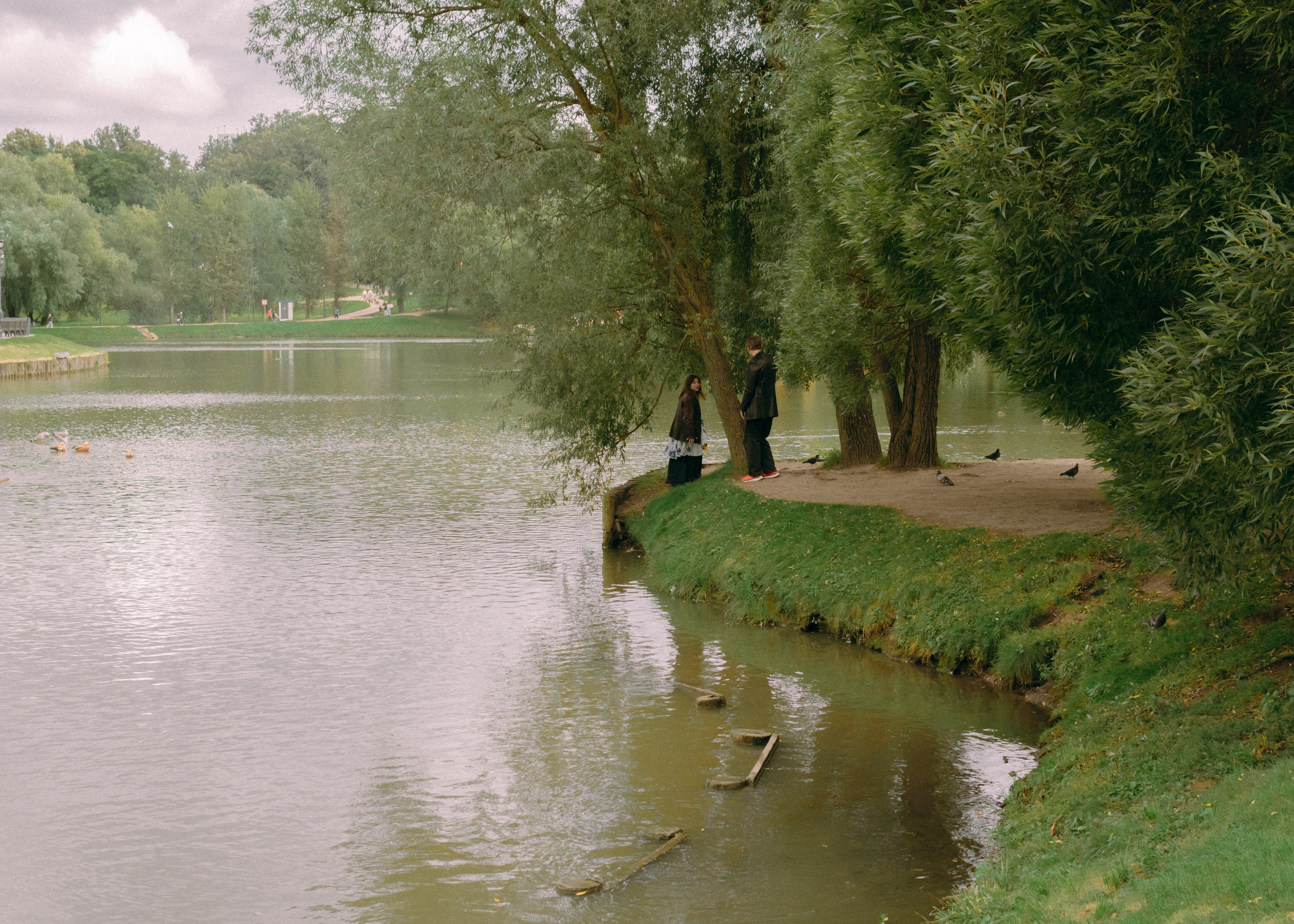 Свадебная лавстори Димы и Милены. Фотограф-анималист Ксения Воробьева, Москва