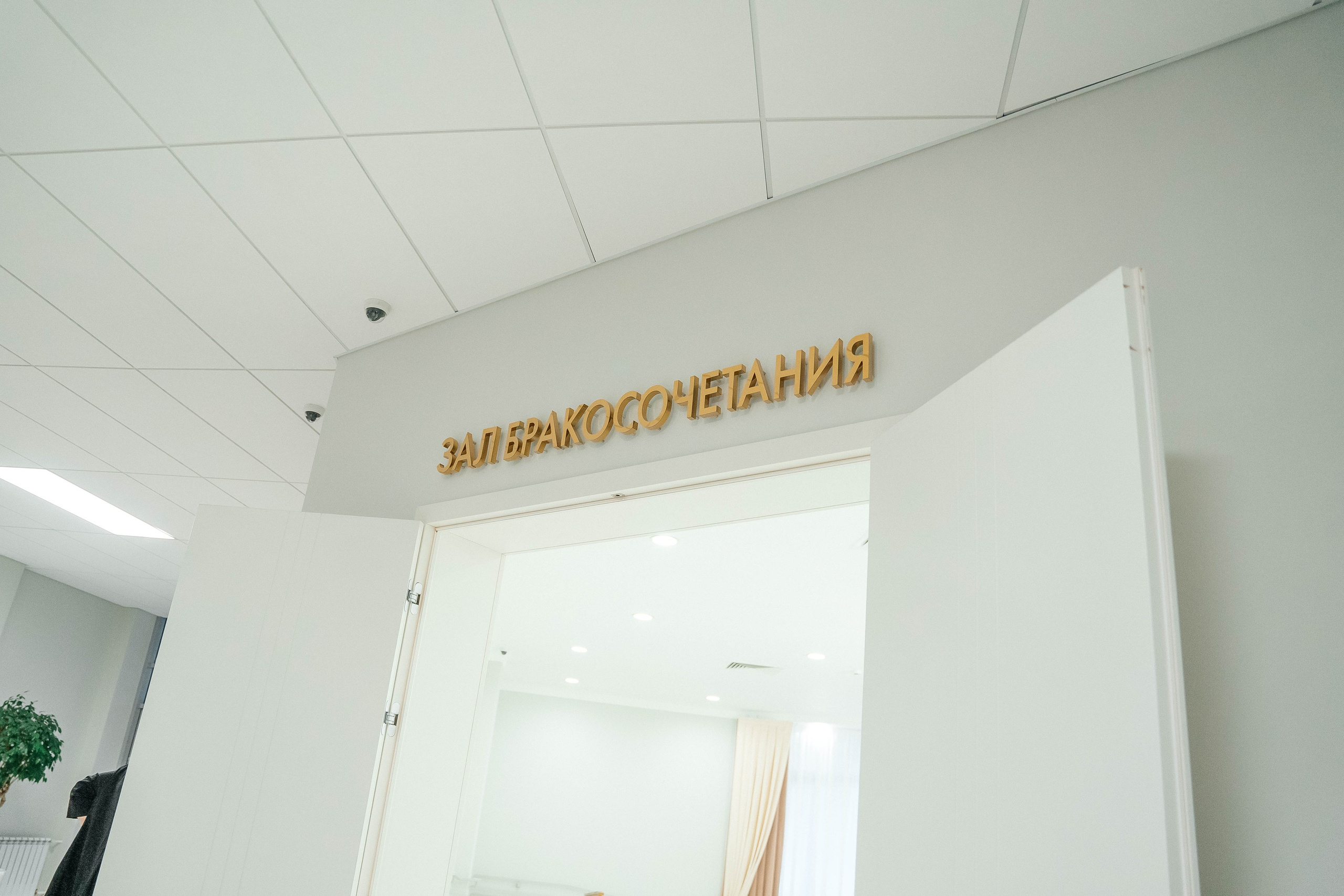 Дмитрий+Наталья