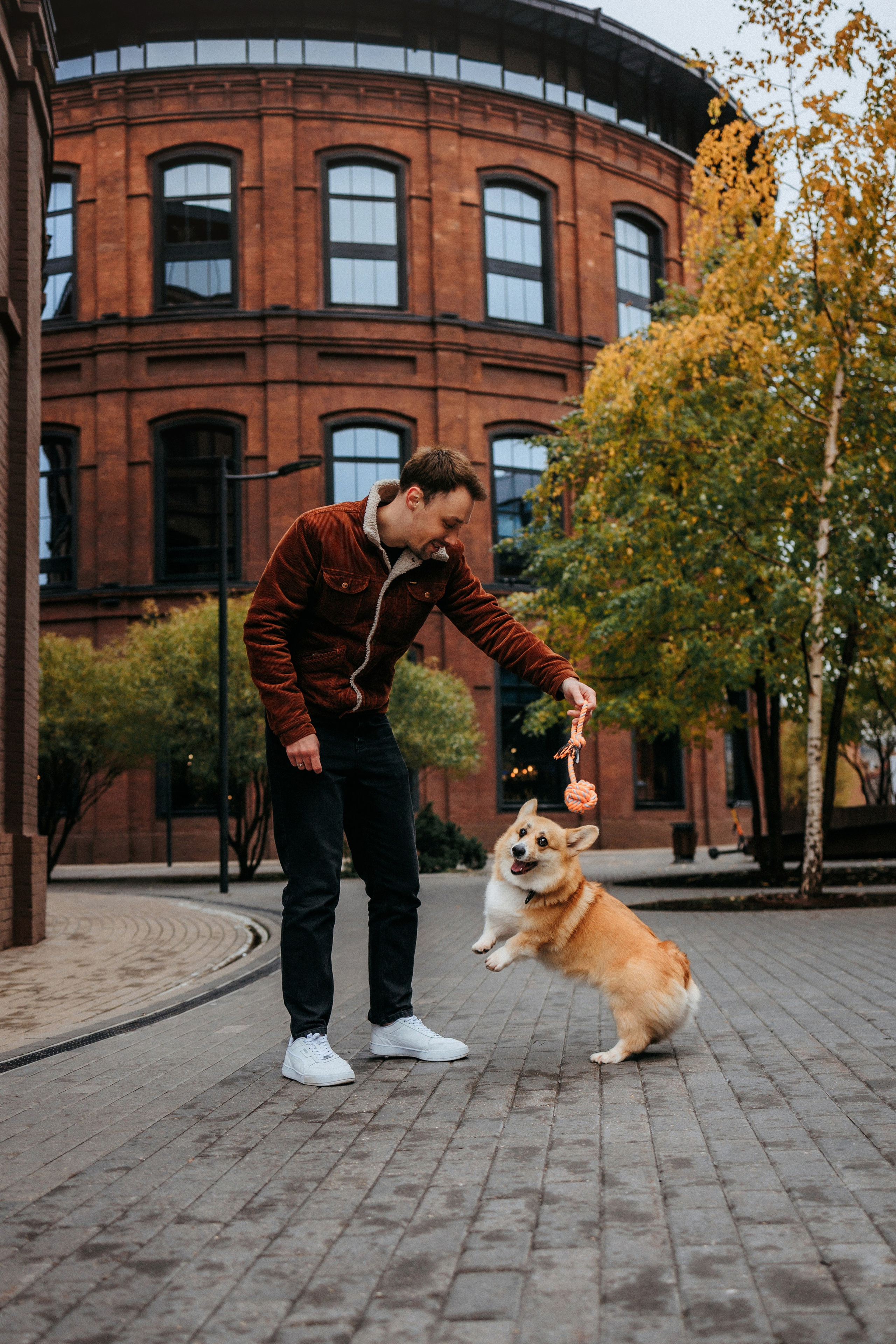 Вера, Саша и Муна. Фотограф-анималист Елена Радченко, Москва