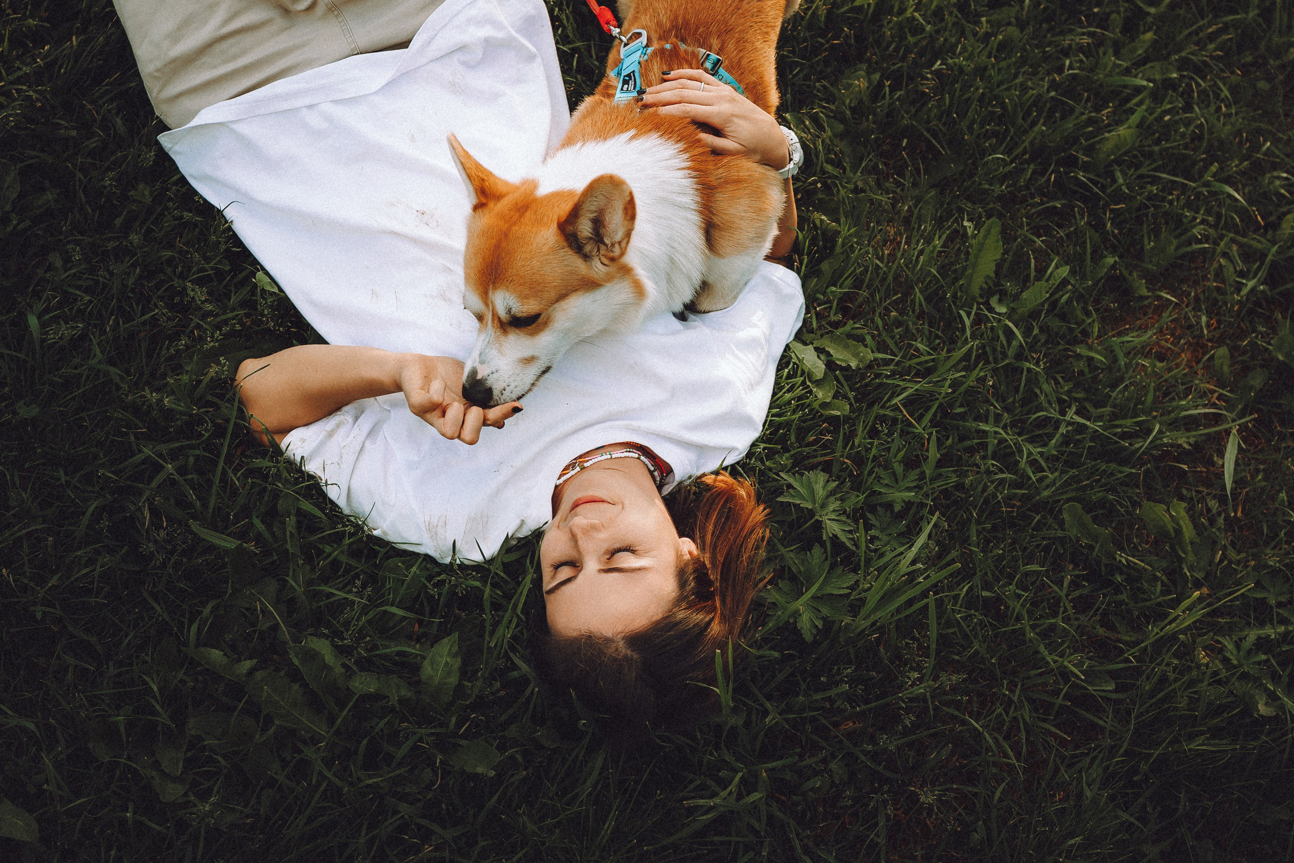 Вирджик и его семья